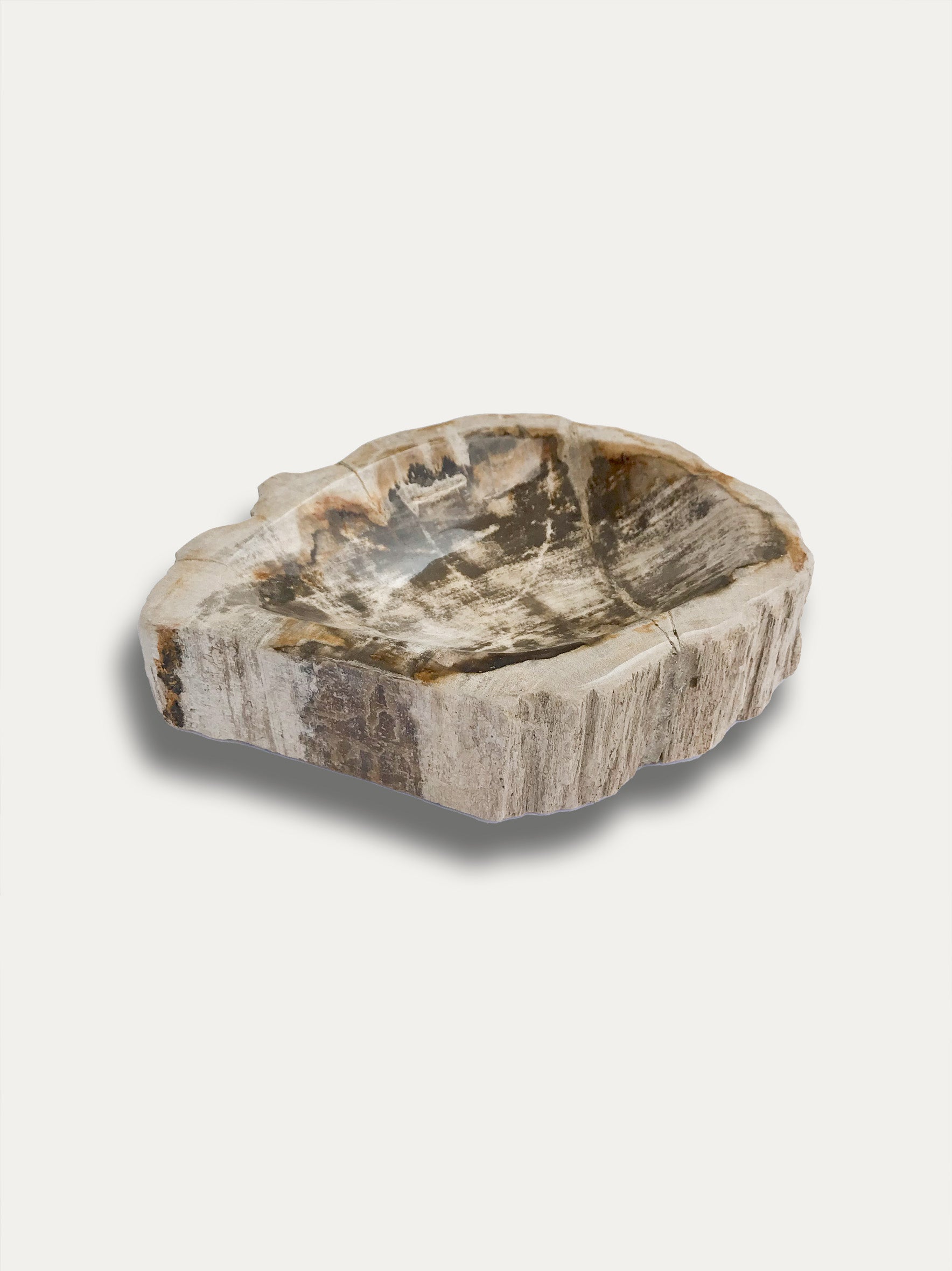 Petrified wood bowl