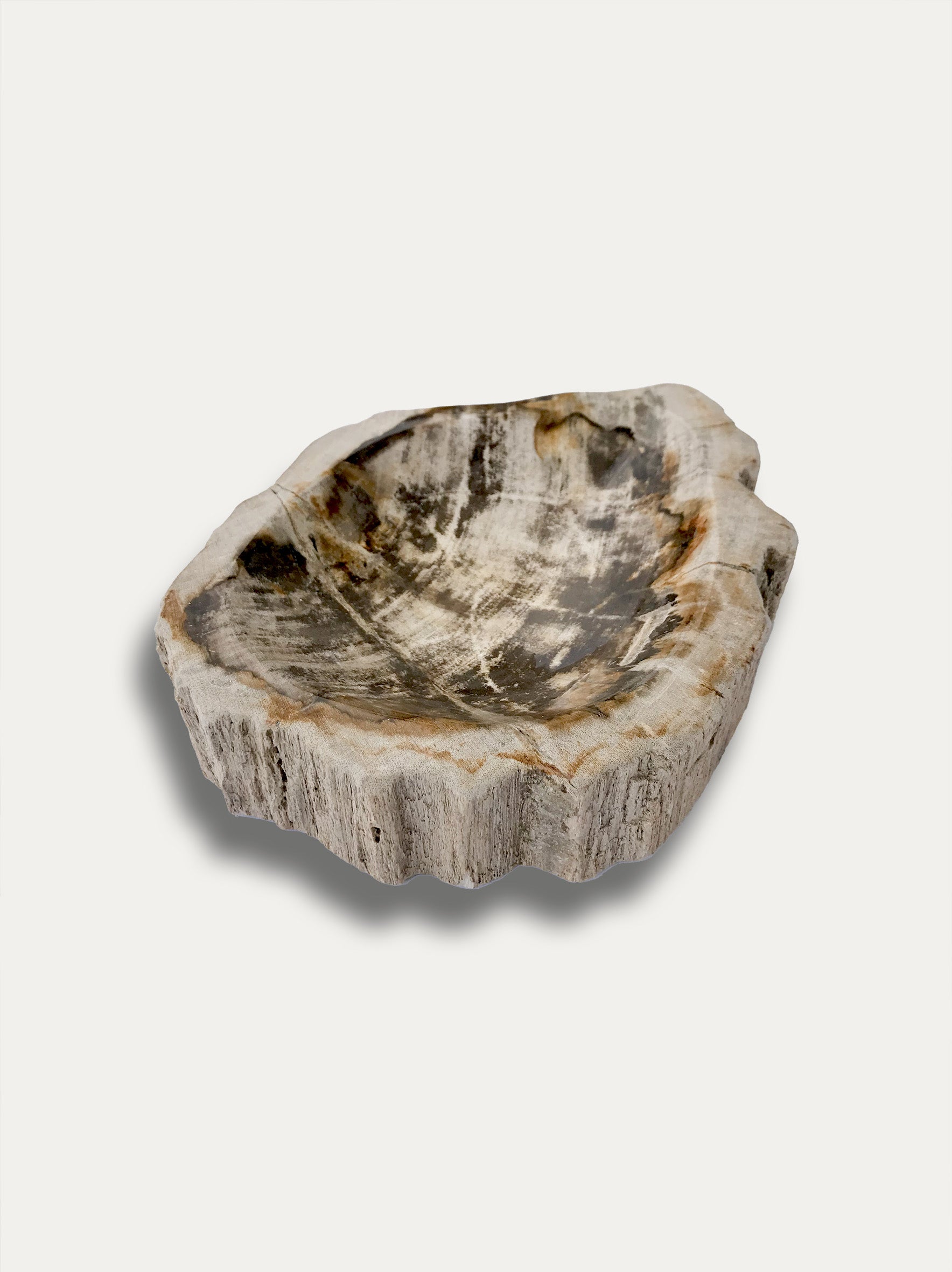 Petrified wood bowl