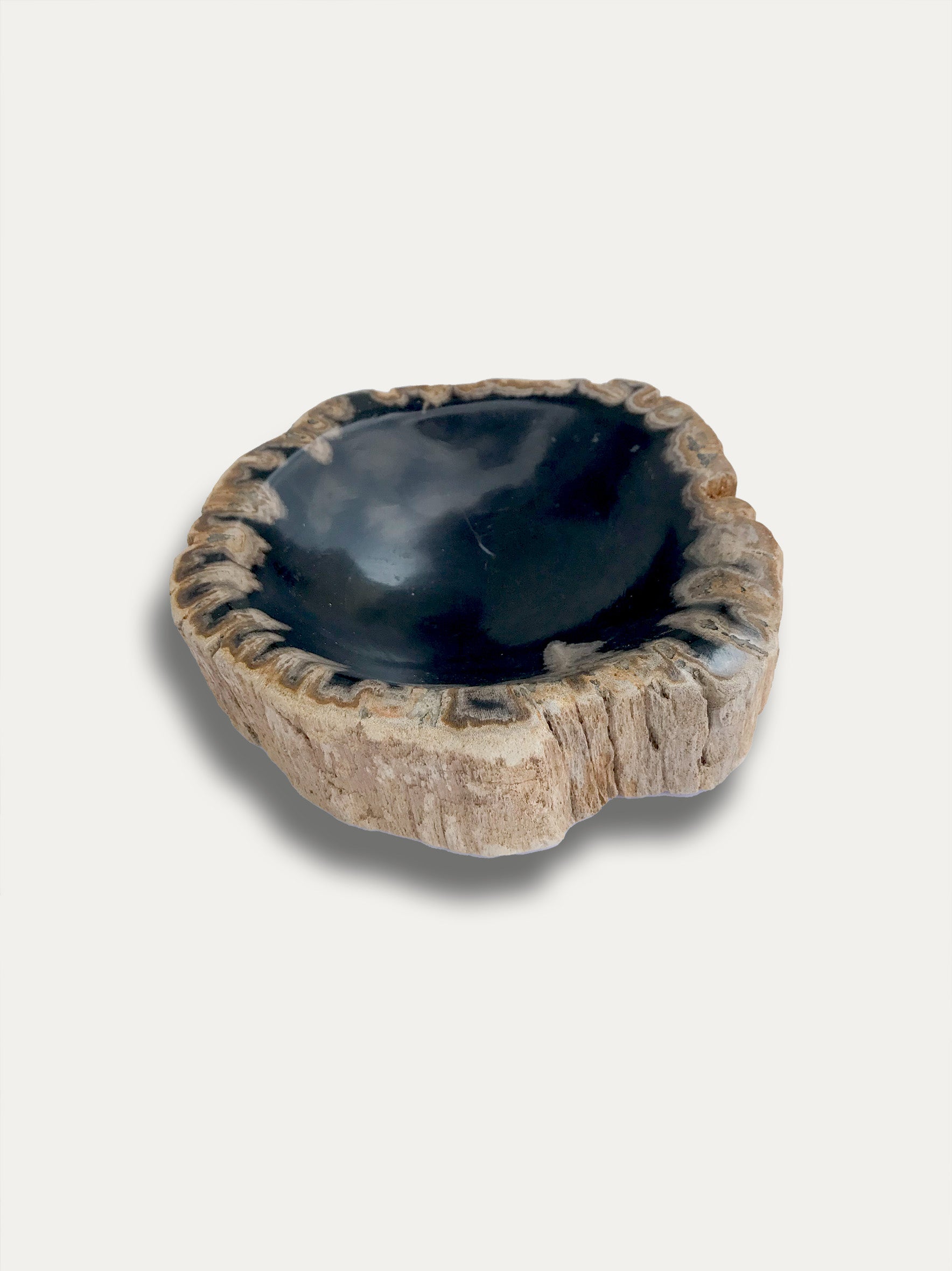 Petrified wood bowl