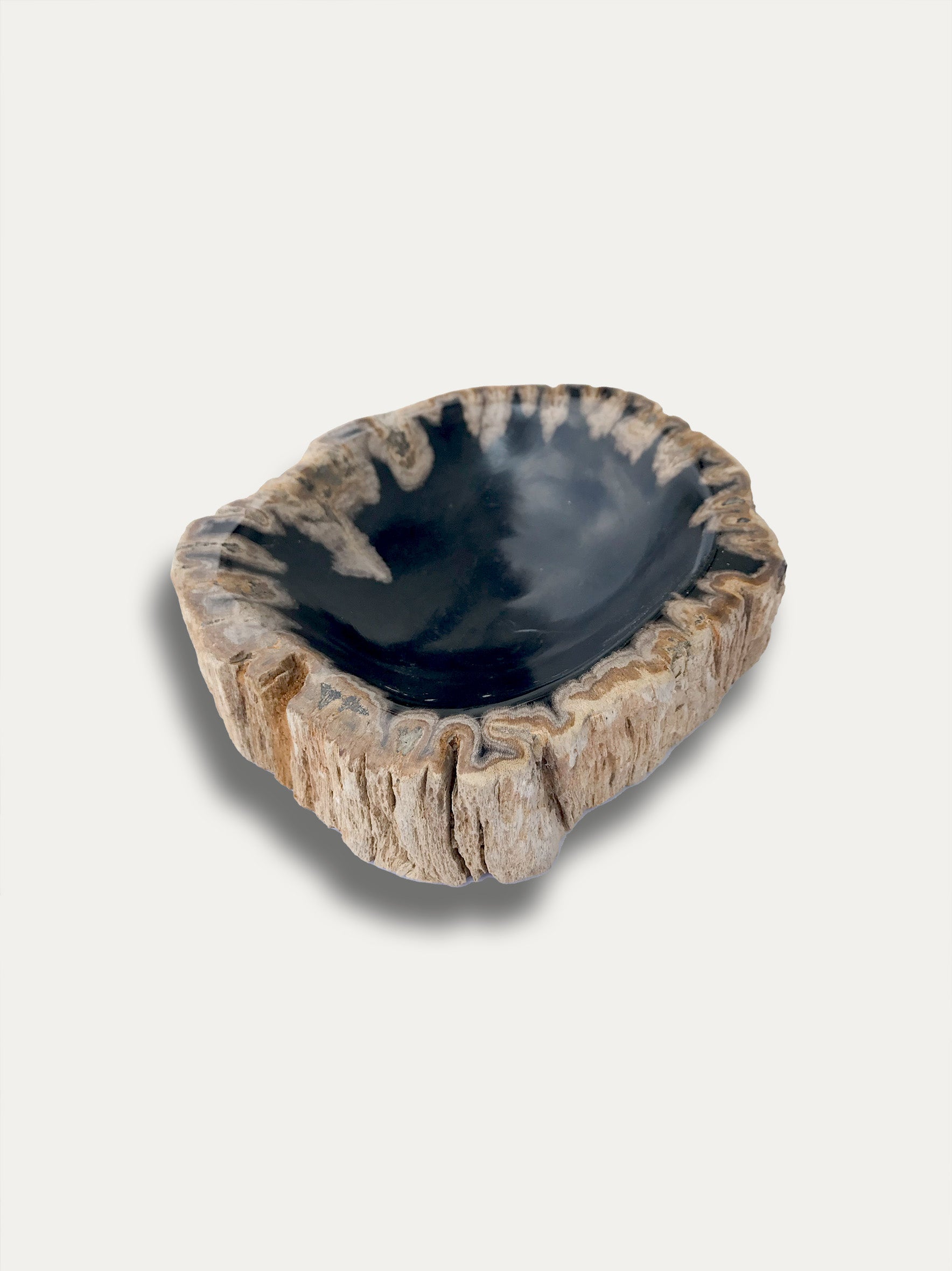 Petrified wood bowl