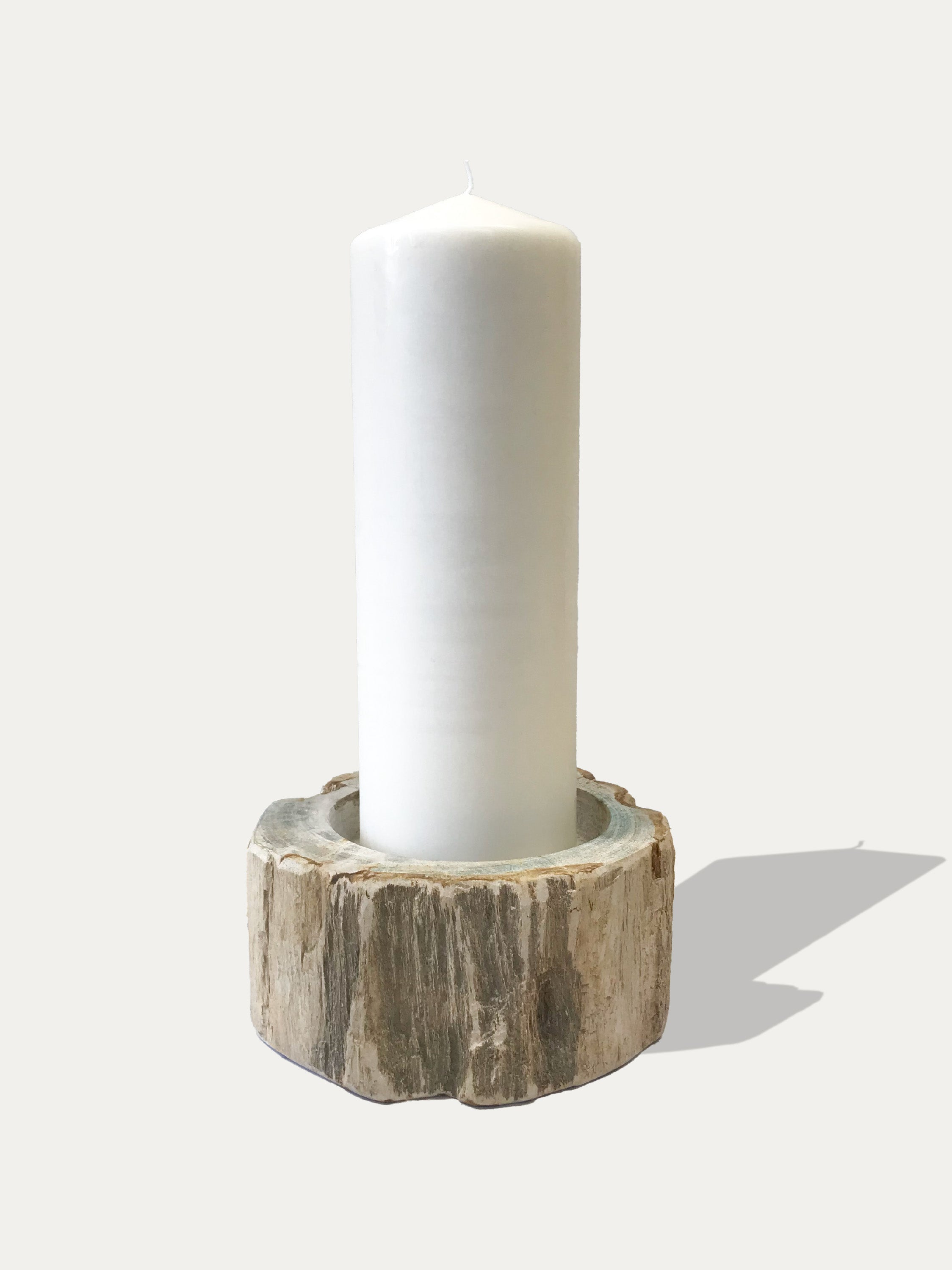 Large reversible candle holder in petrified wood