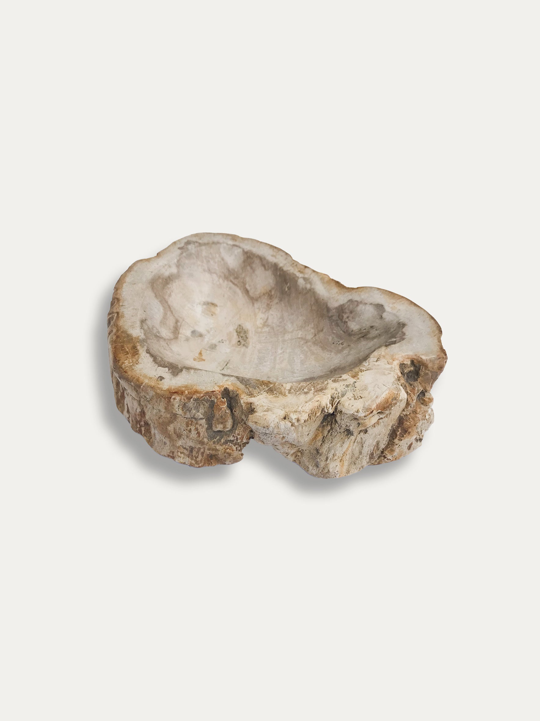 Petrified wood bowl