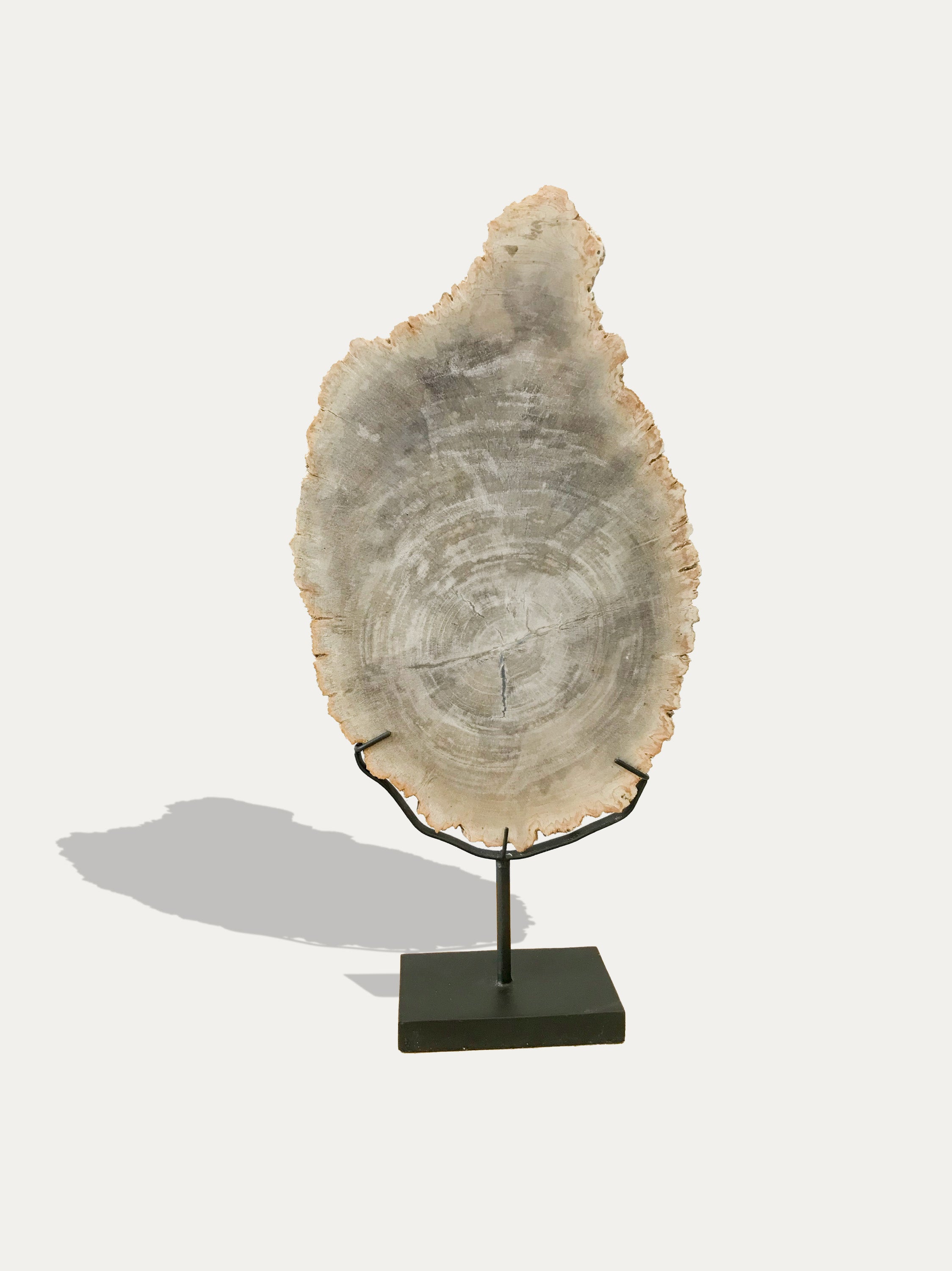 Petrified Wood Sculpture and Tray 