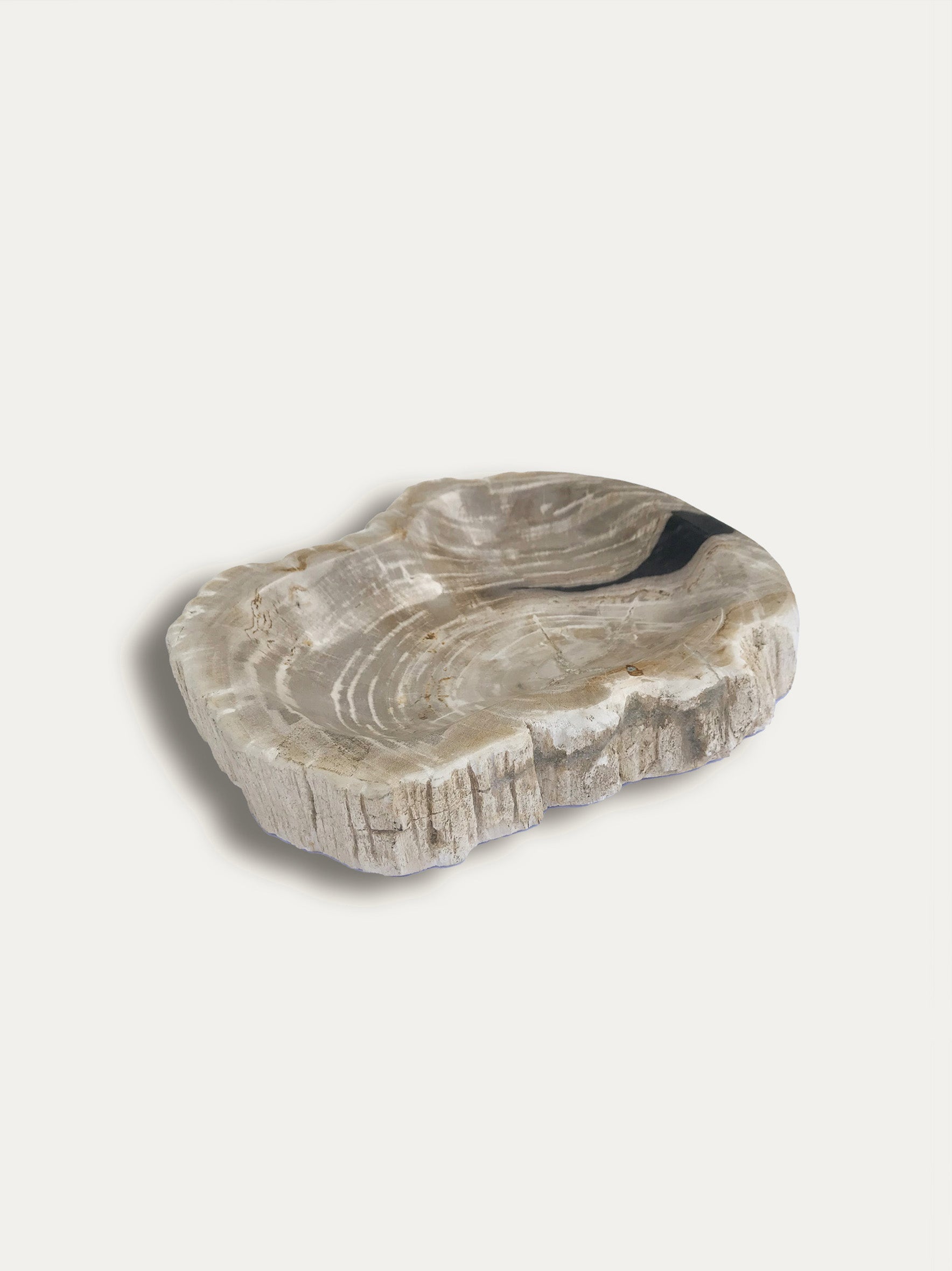 Petrified wood bowl