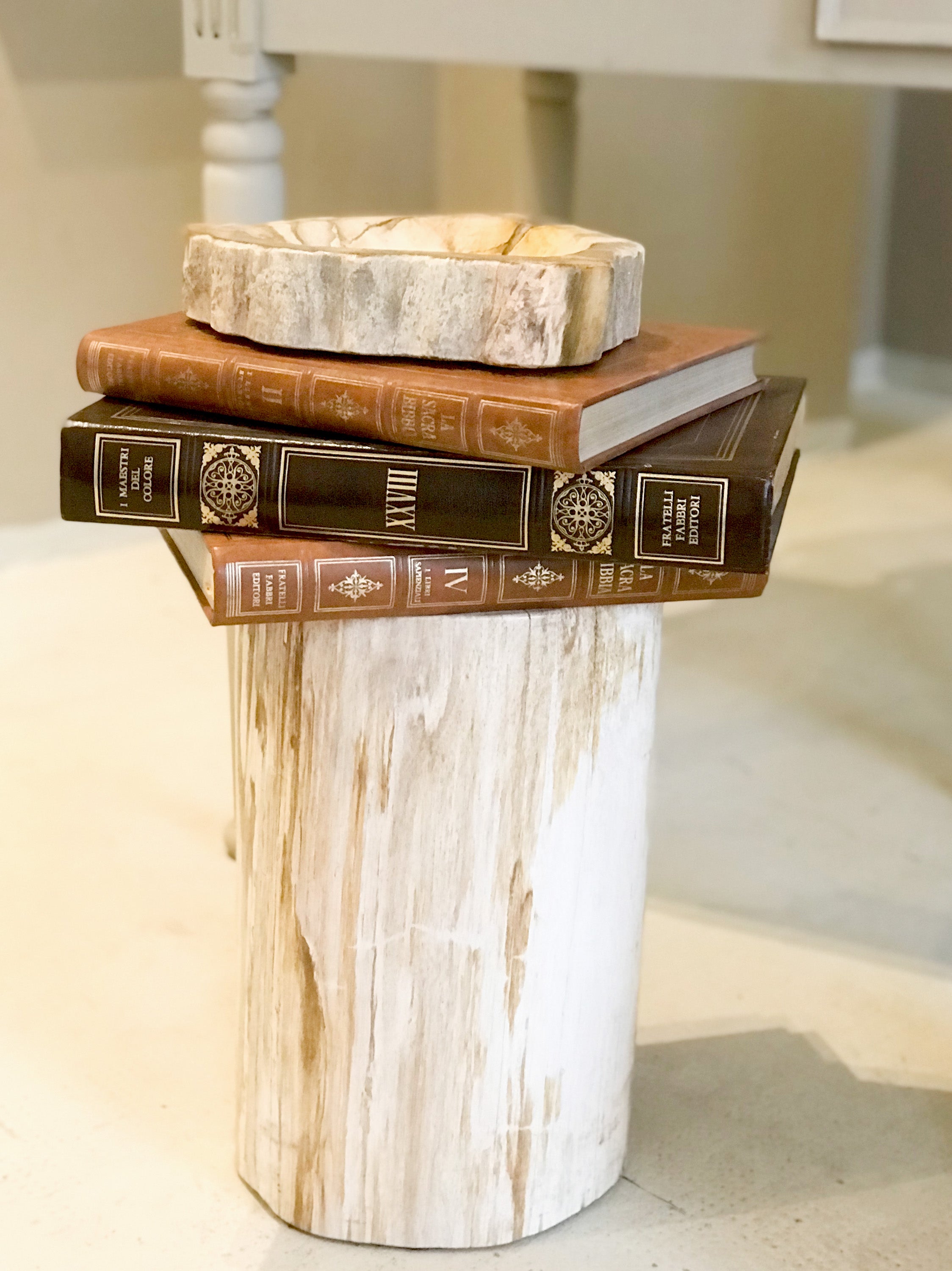 Petrified Wood Bowl - Enjoy Italy's largest collection of Petrified wood accessories!
