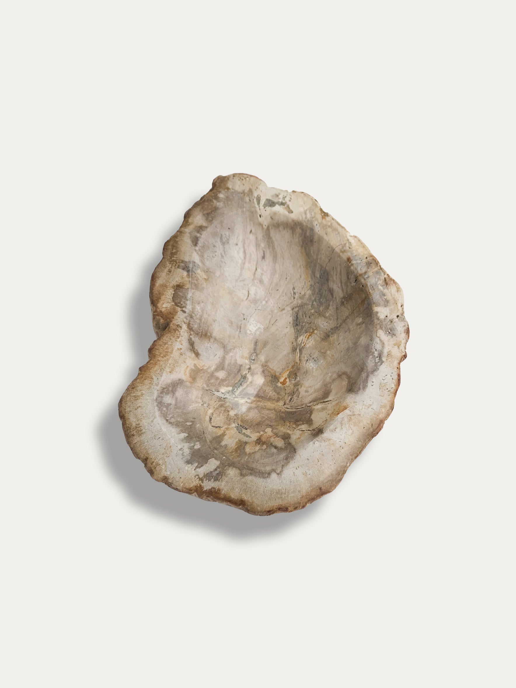 Petrified Wood Bowl