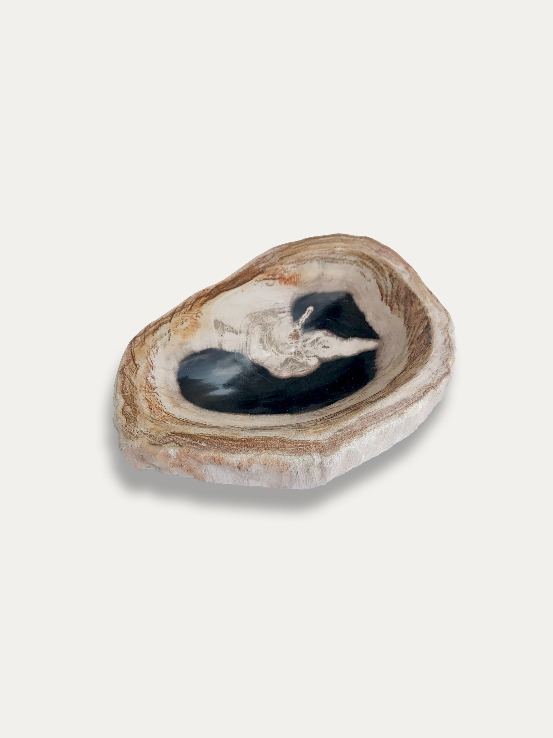 Petrified wood bowl