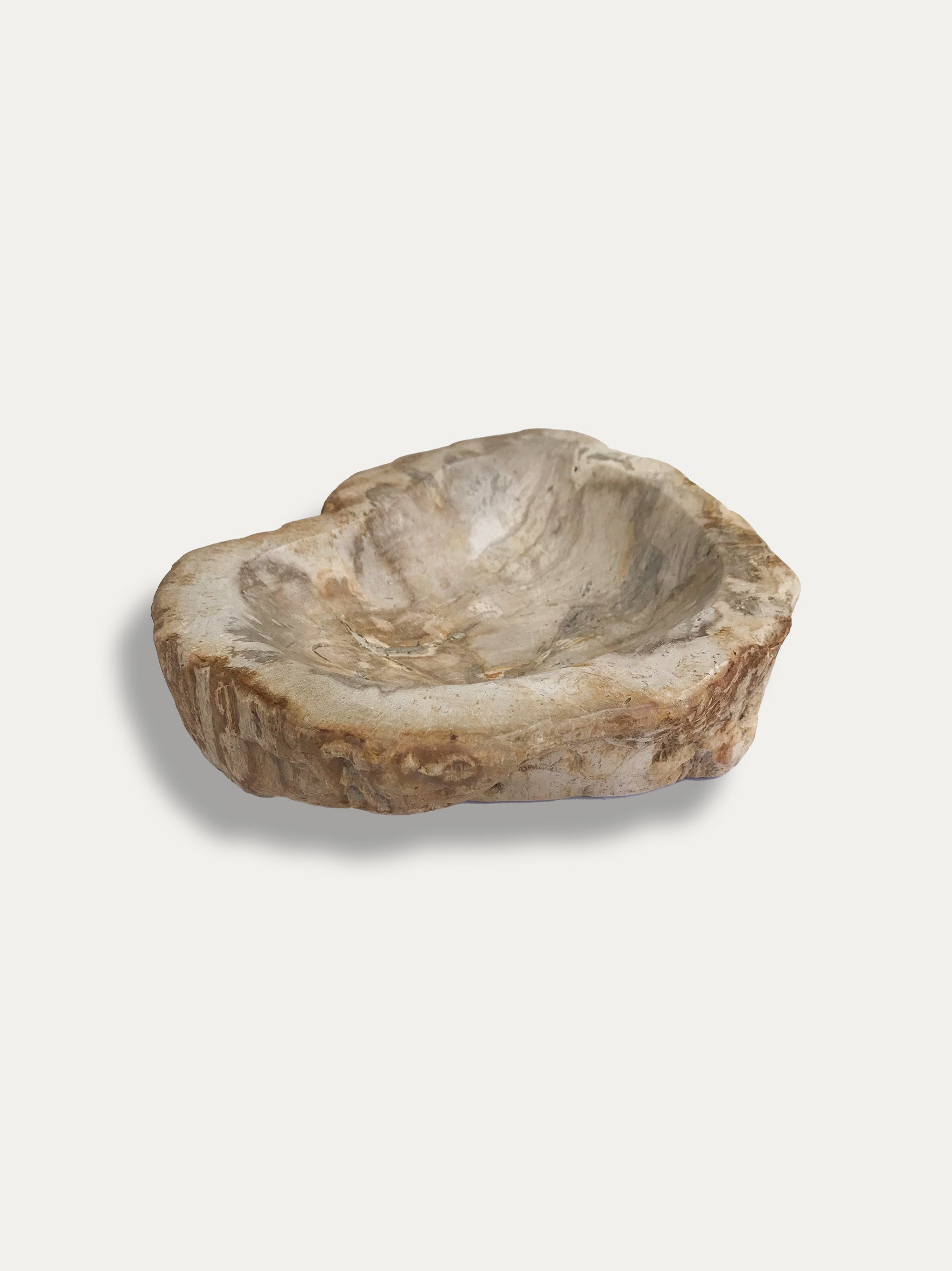 Petrified Wood Bowl