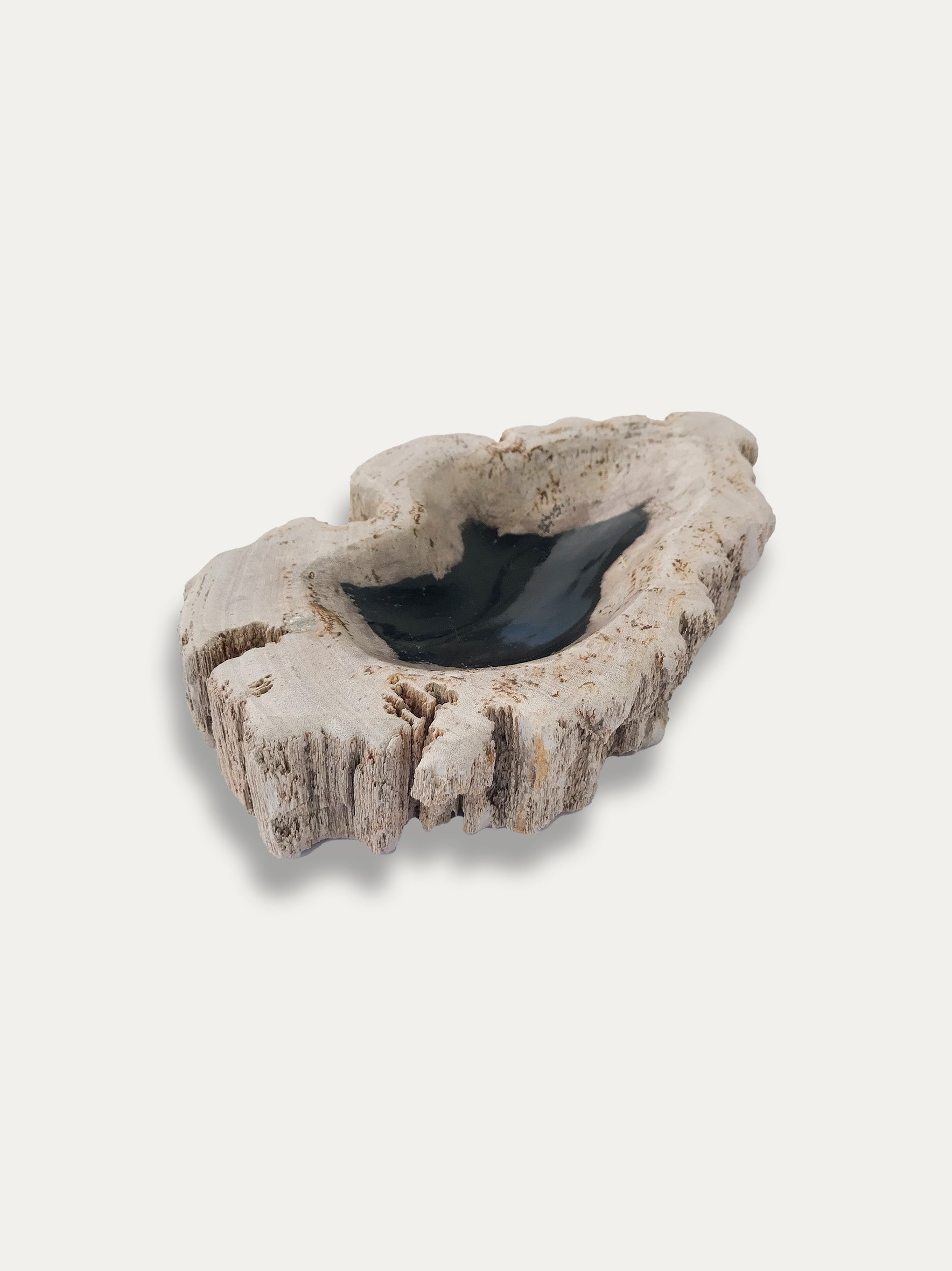 Petrified wood bowl