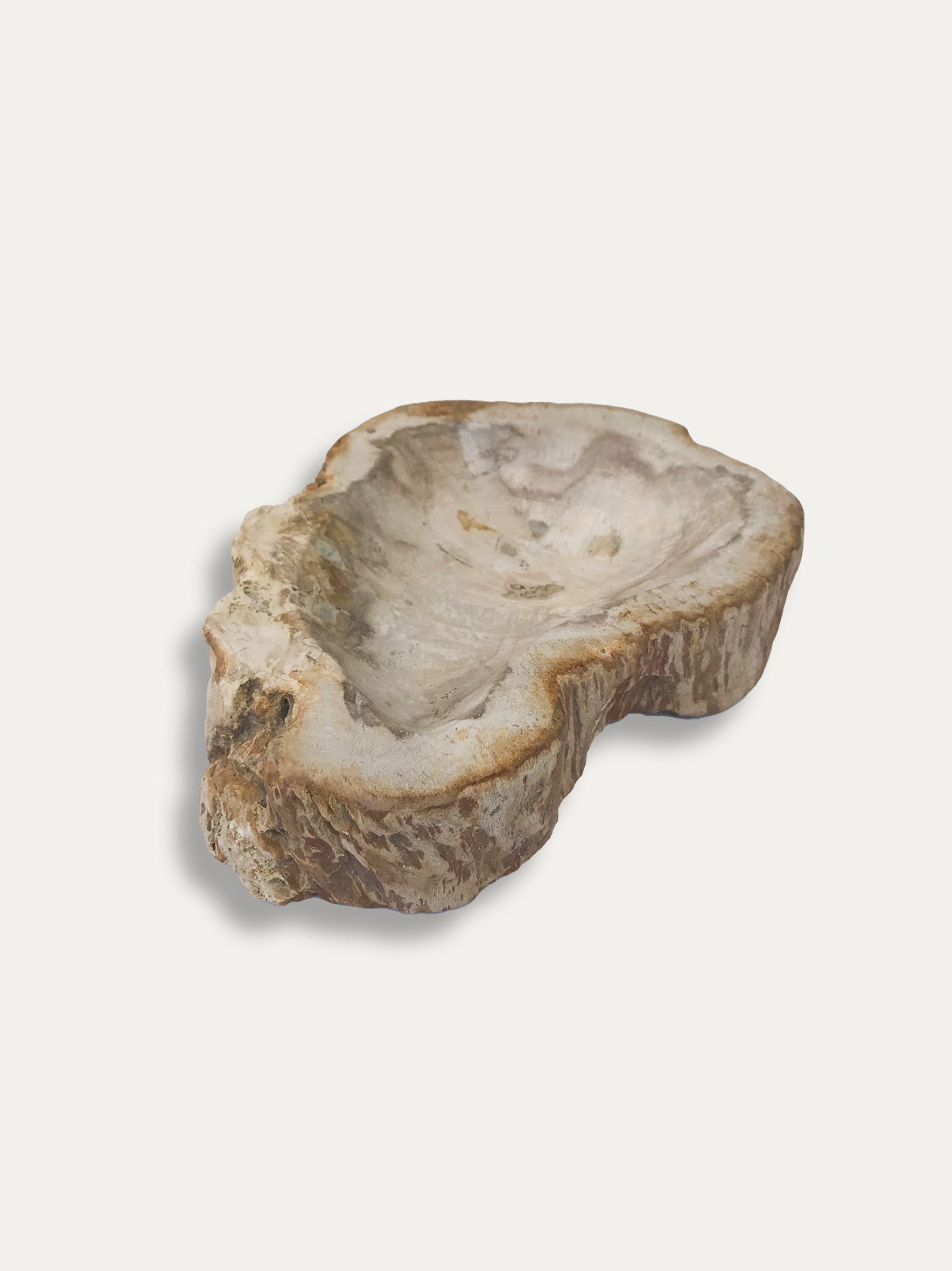 Petrified wood bowl