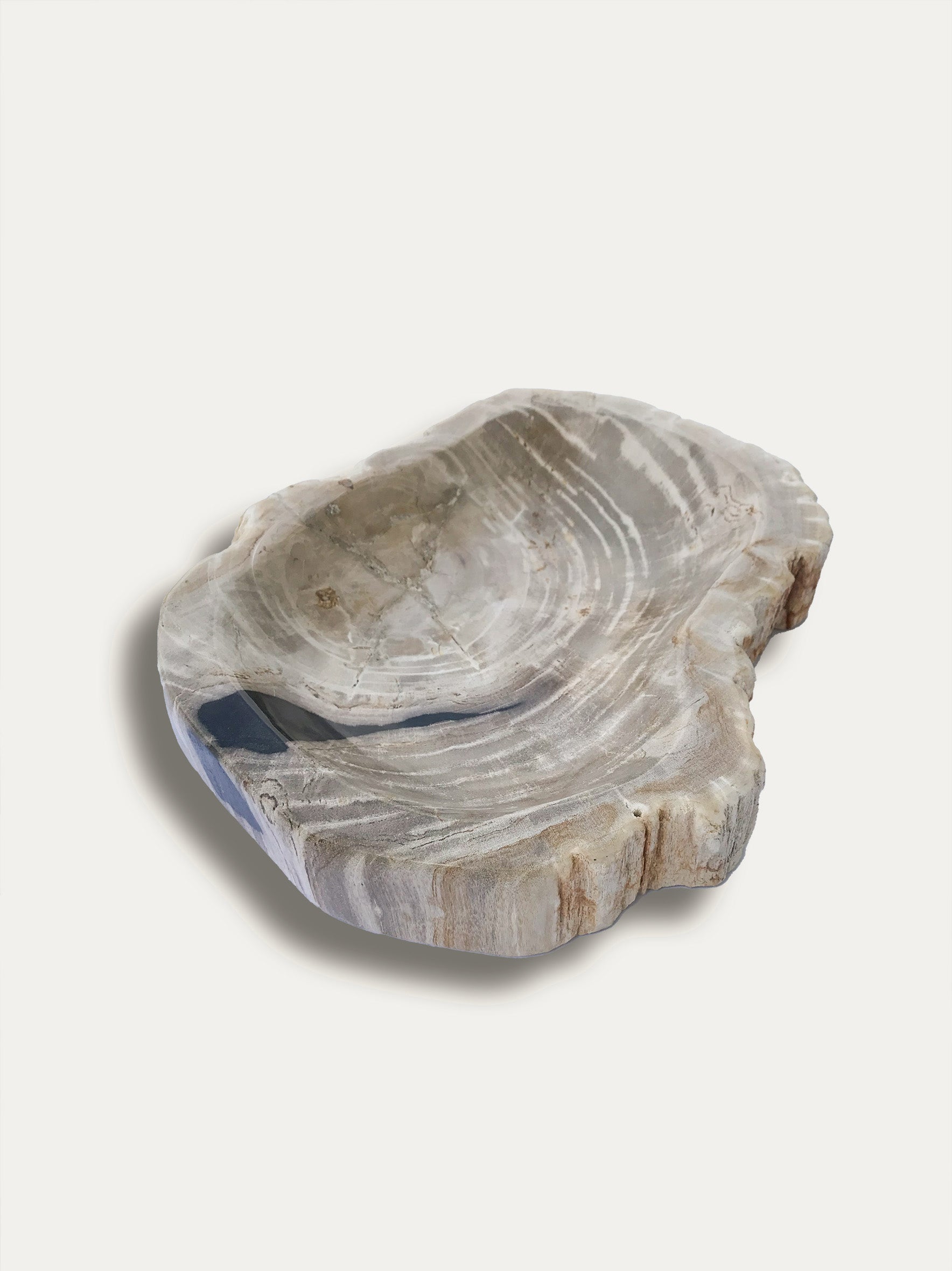 Petrified wood bowl