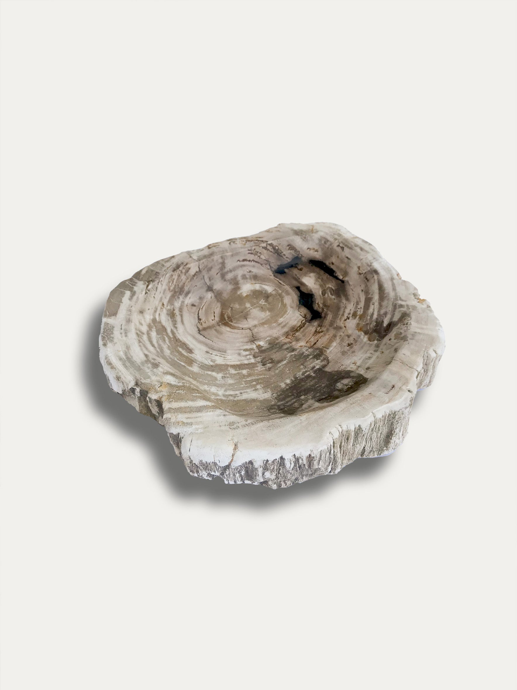 PETRIFIED WOOD BOWL