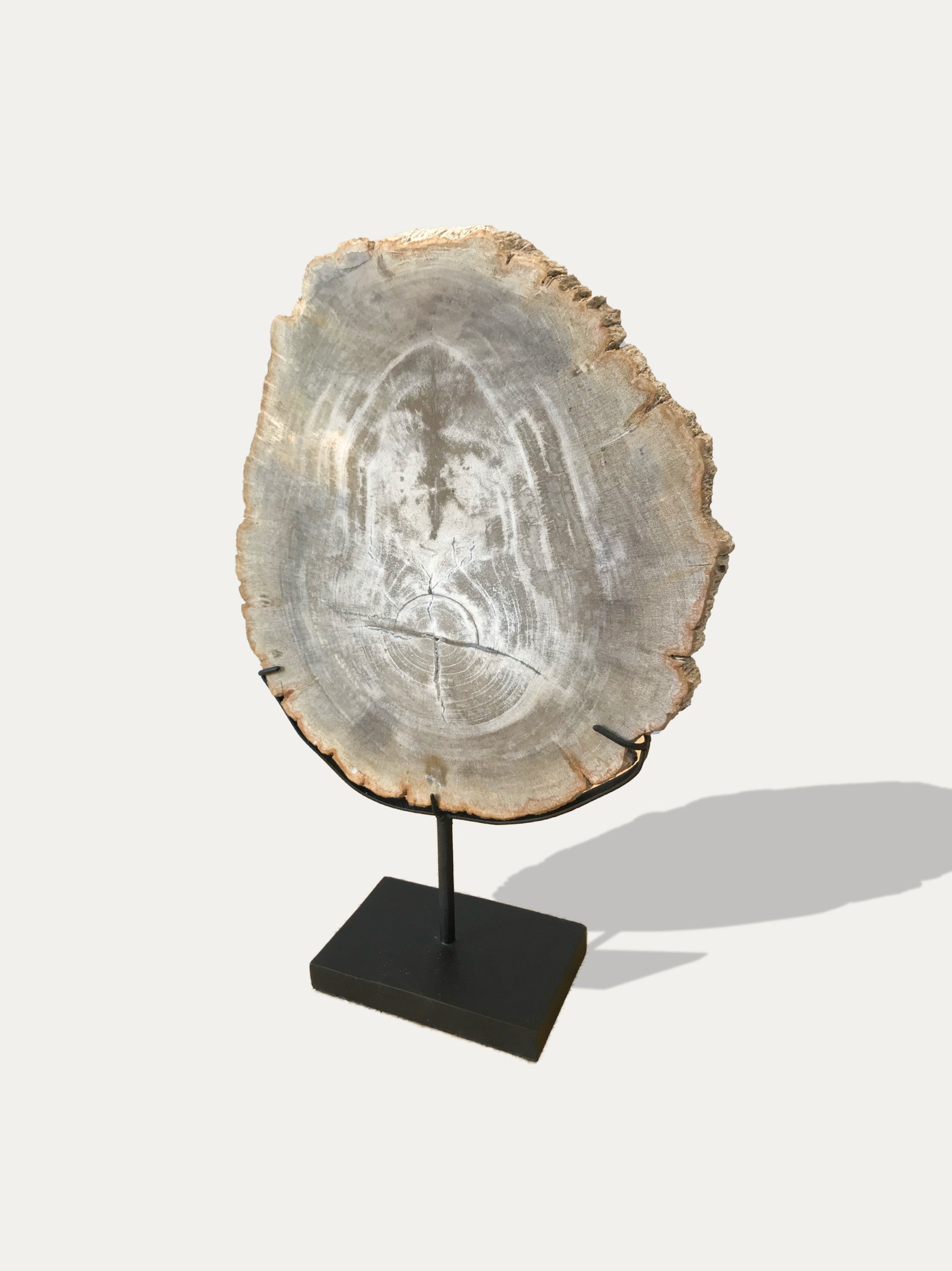 Petrified Wood Sculpture and Tray