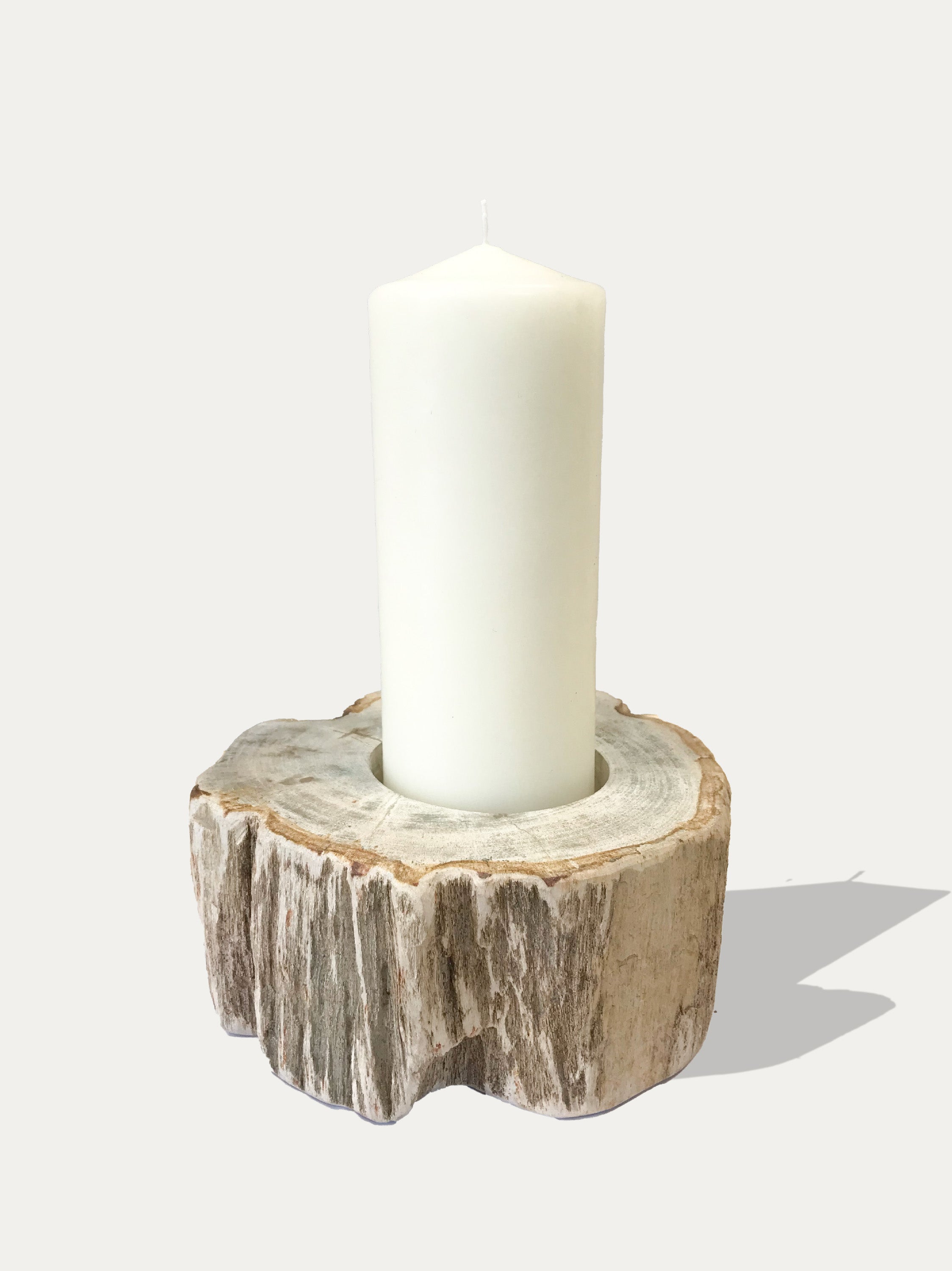 Large reversible candle holder in petrified wood