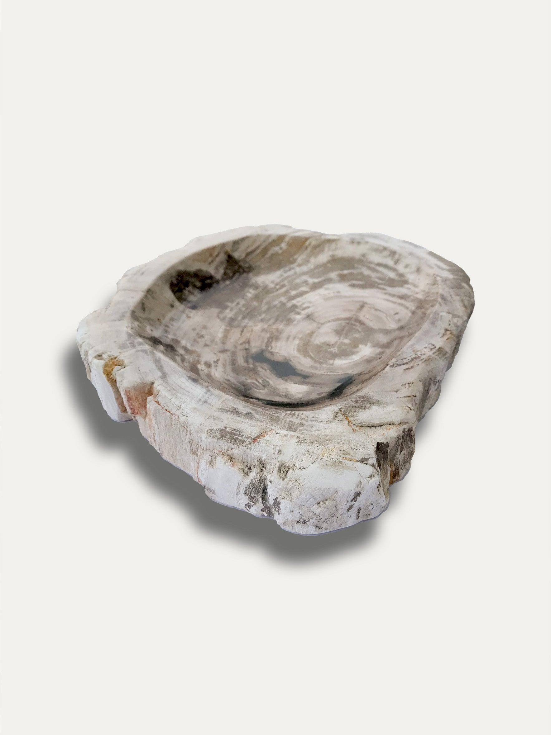 Petrified wood bowl