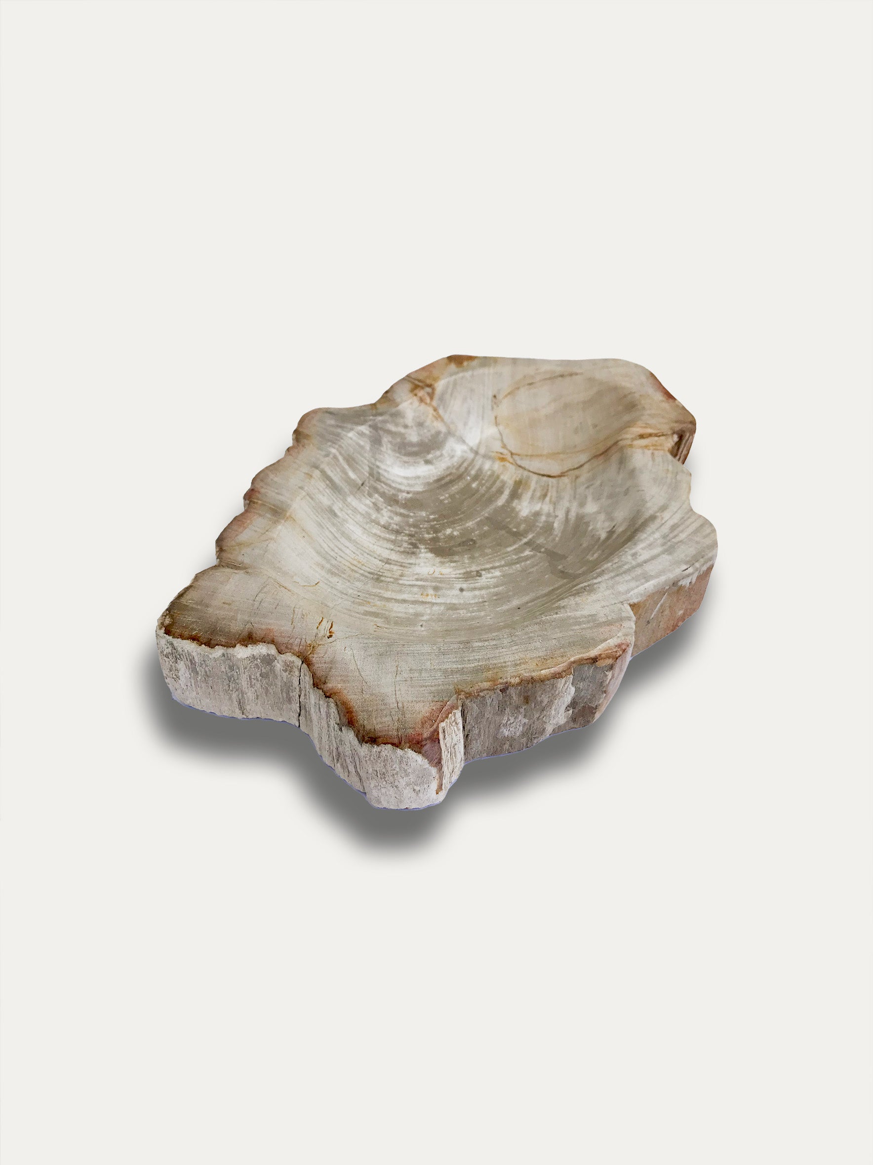 Petrified wood bowl