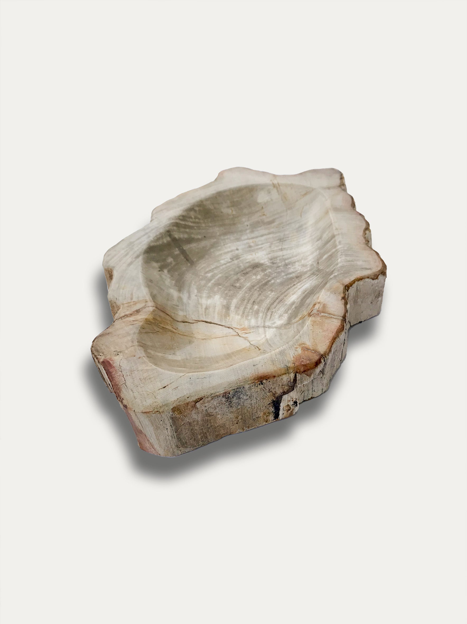 Petrified wood bowl