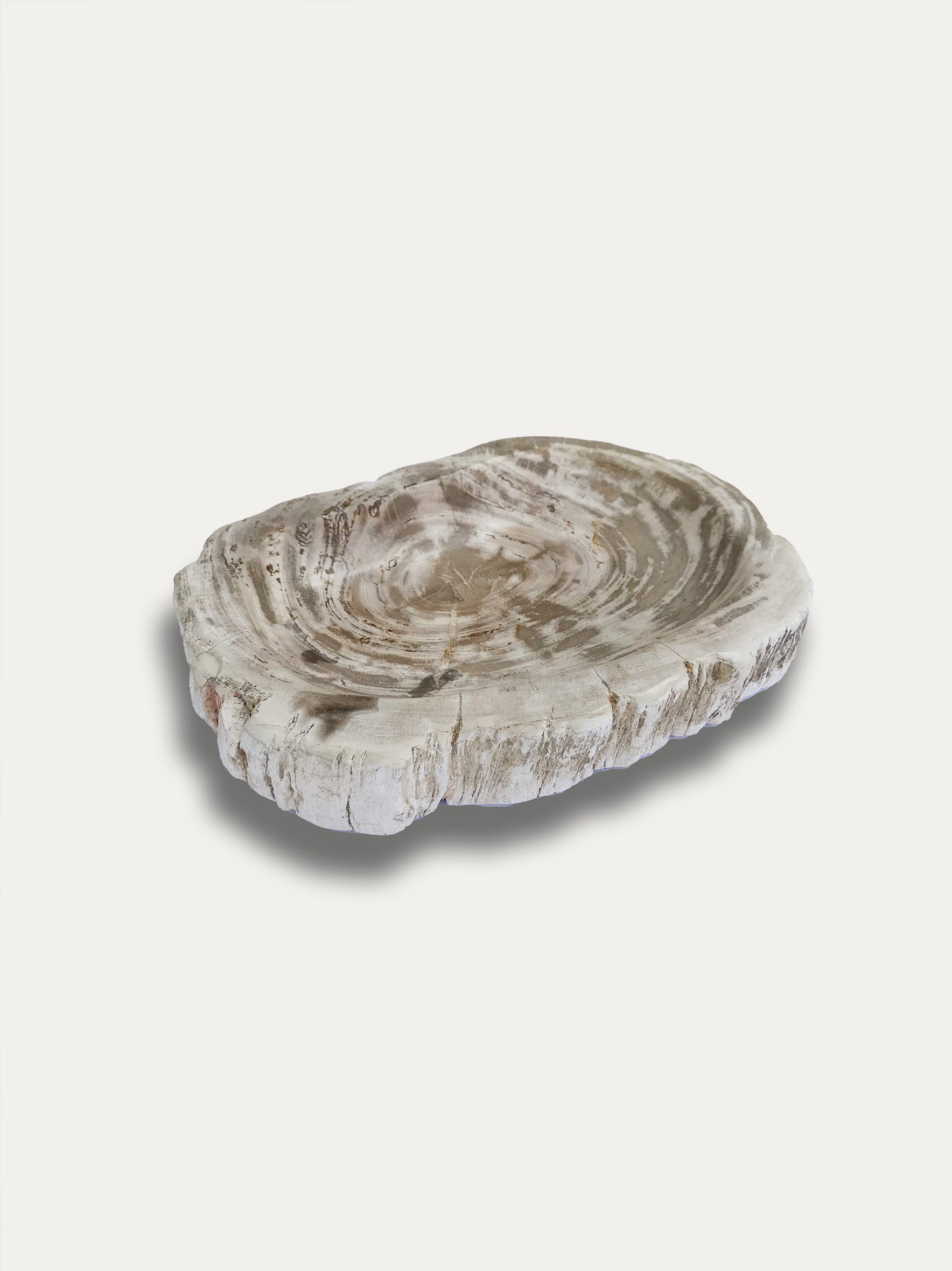 Petrified wood bowl