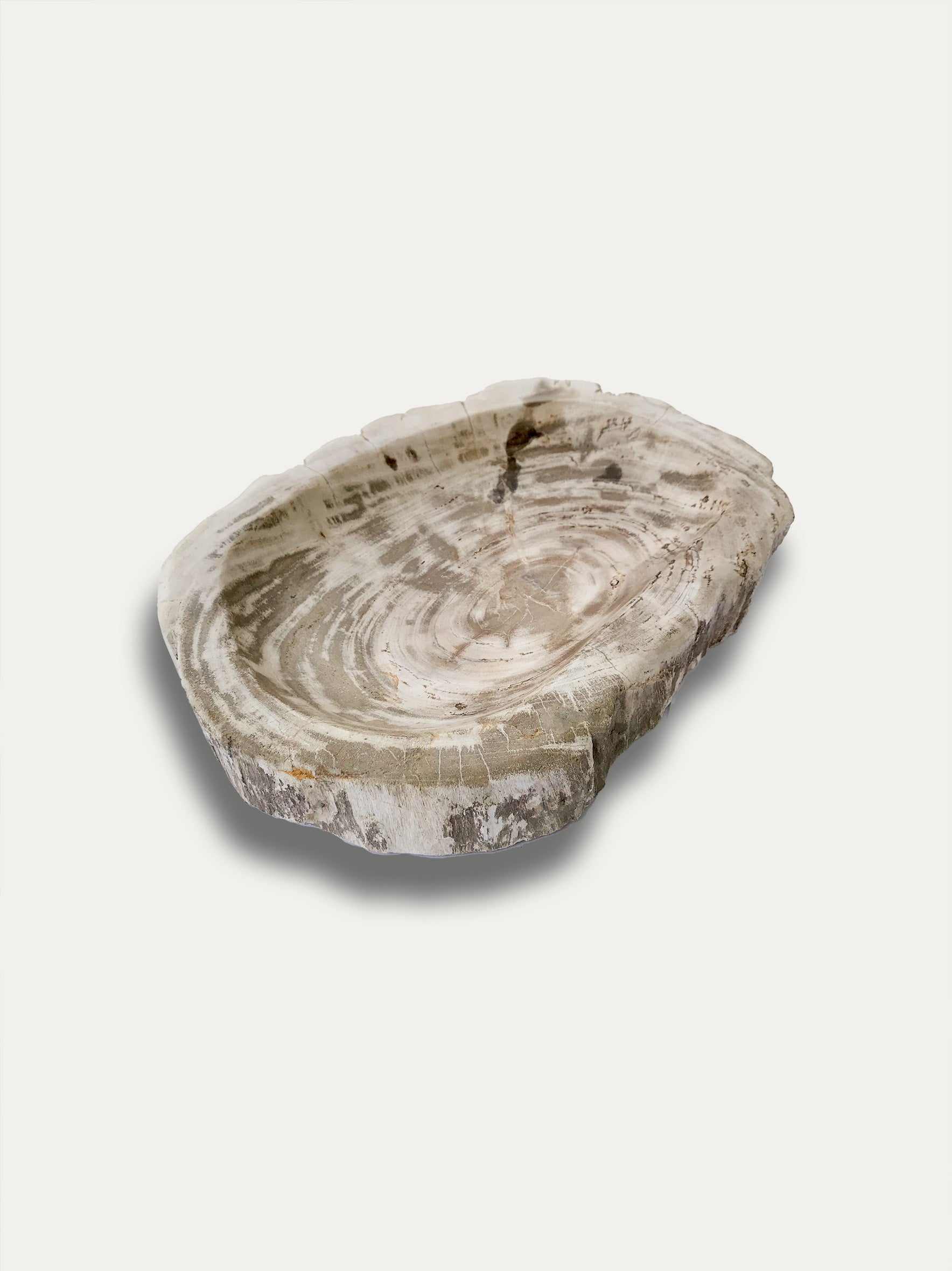 Petrified wood bowl