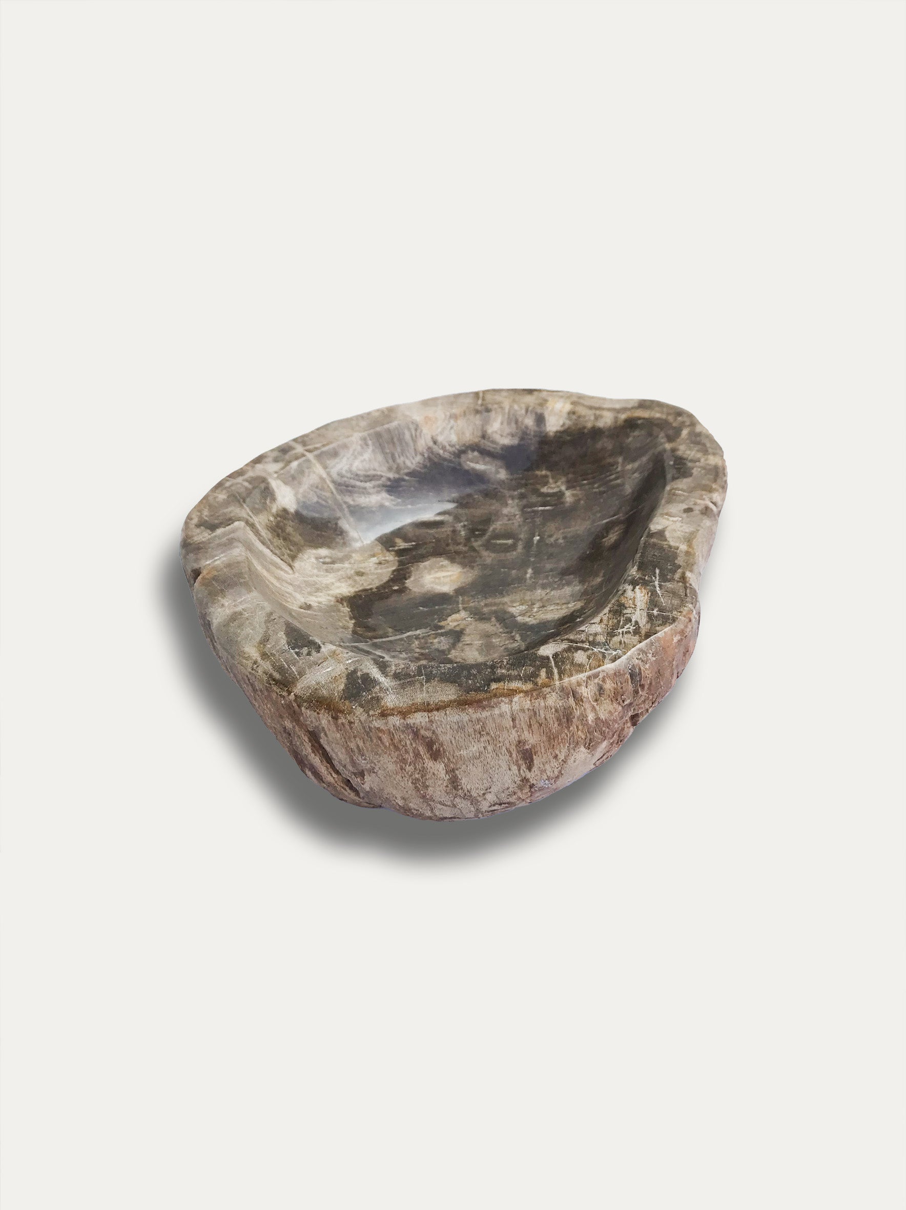 Petrified wood bowl