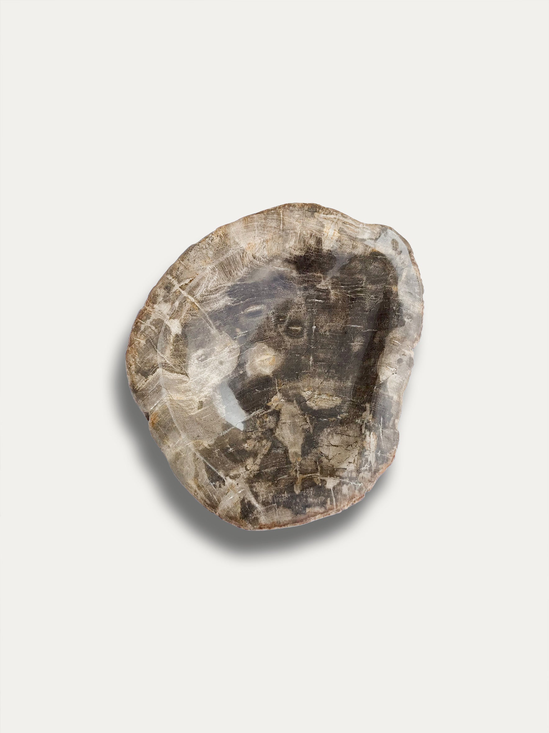 Petrified wood bowl