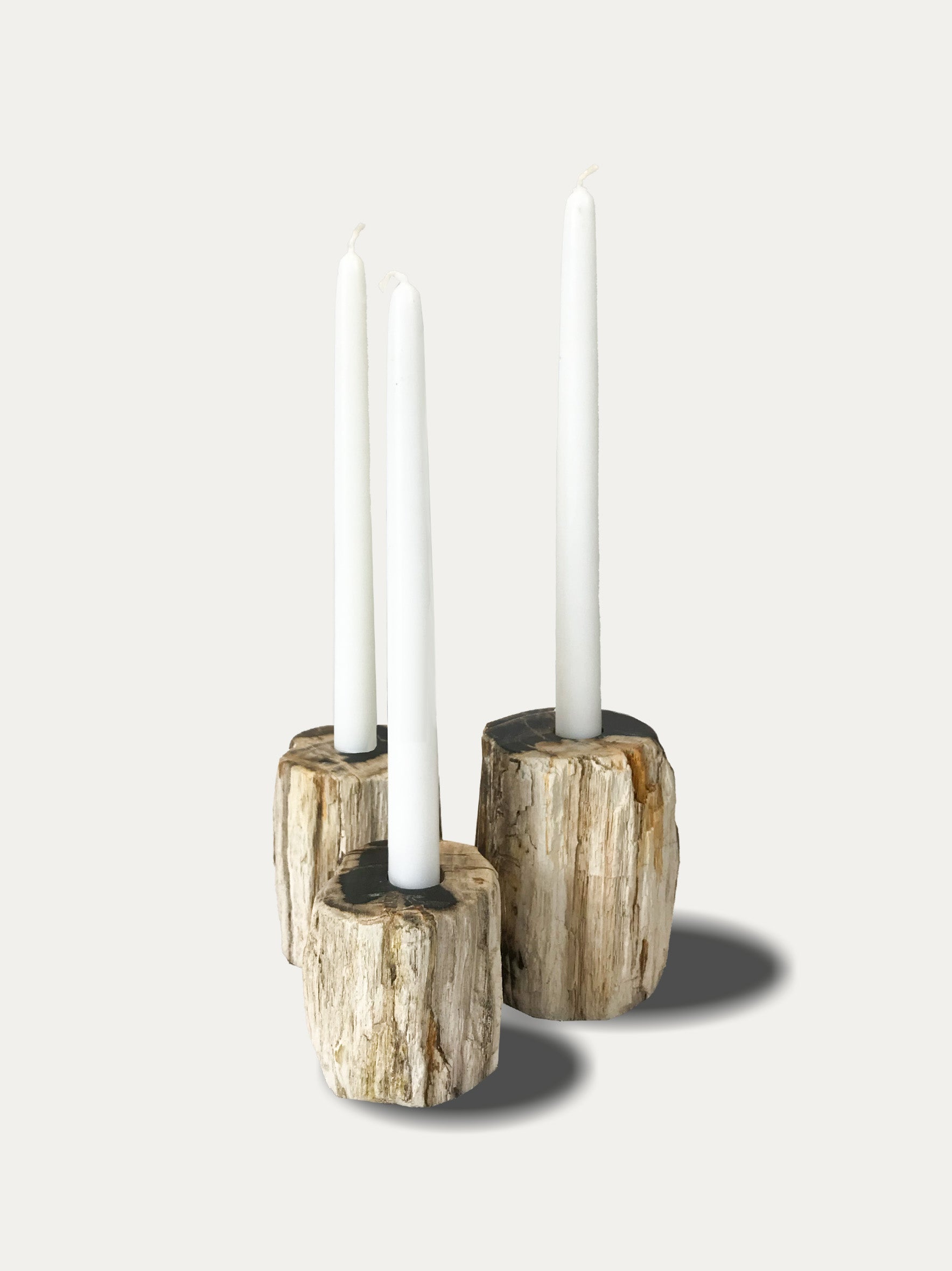 Set of 3 organic reversible candle holders in petrified wood