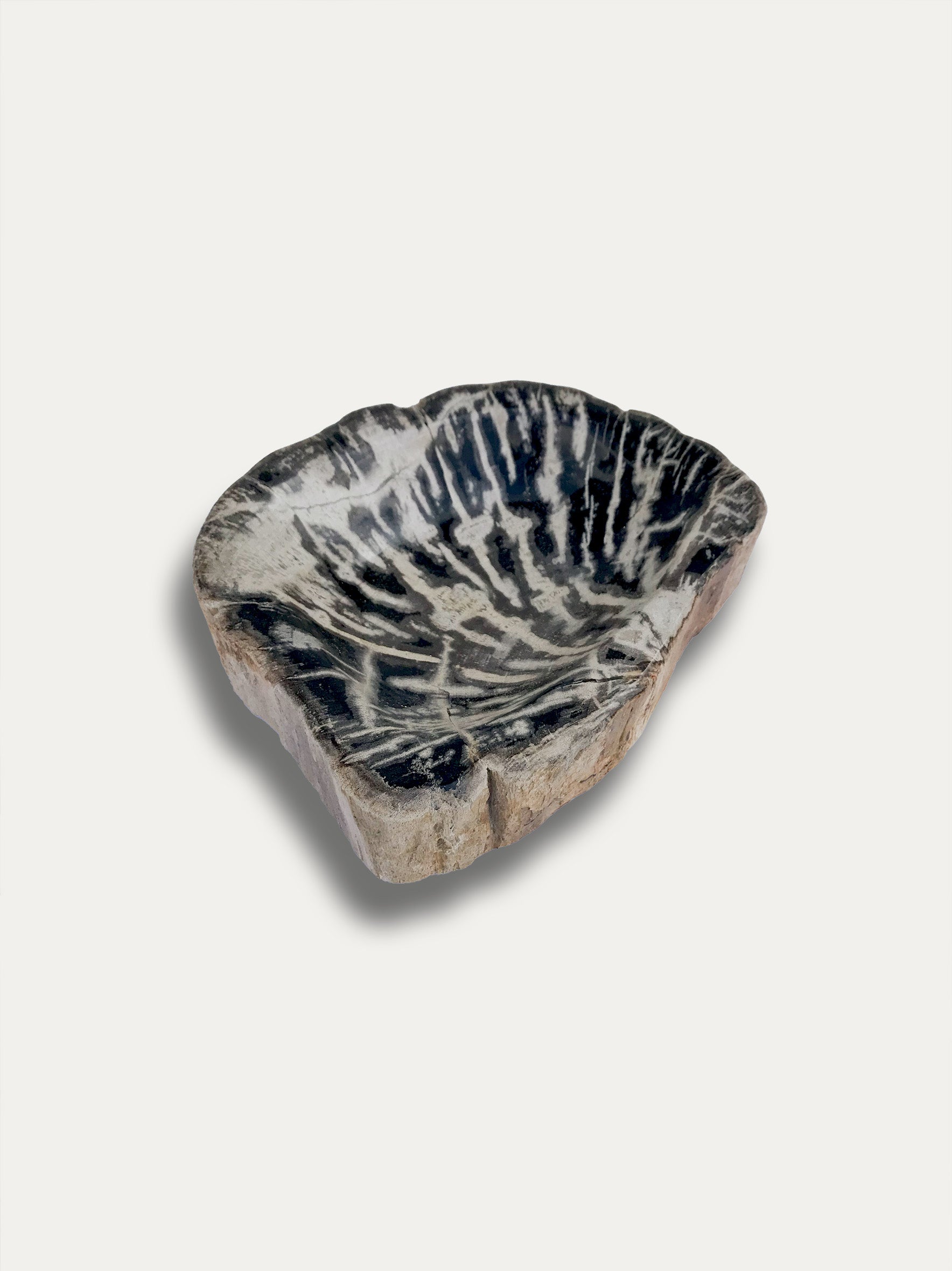 Petrified wood bowl