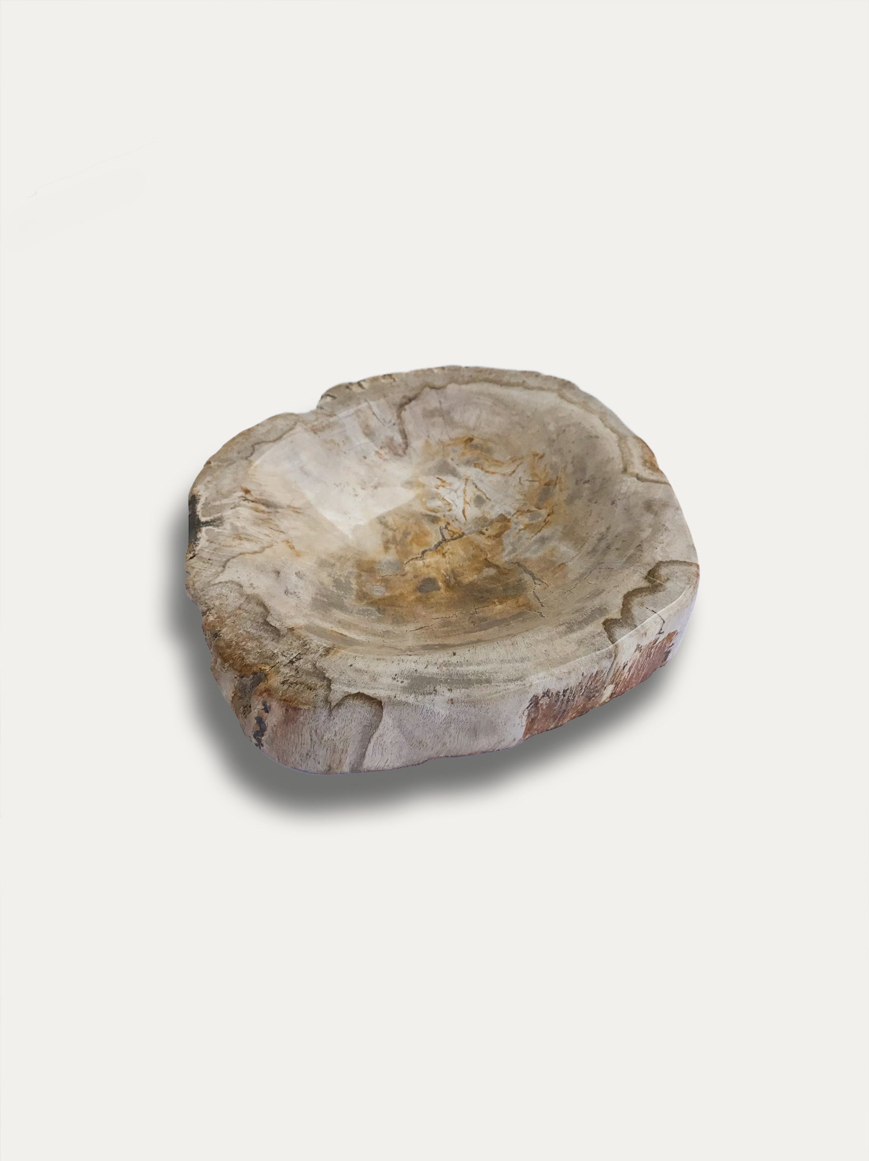 Petrified wood bowl