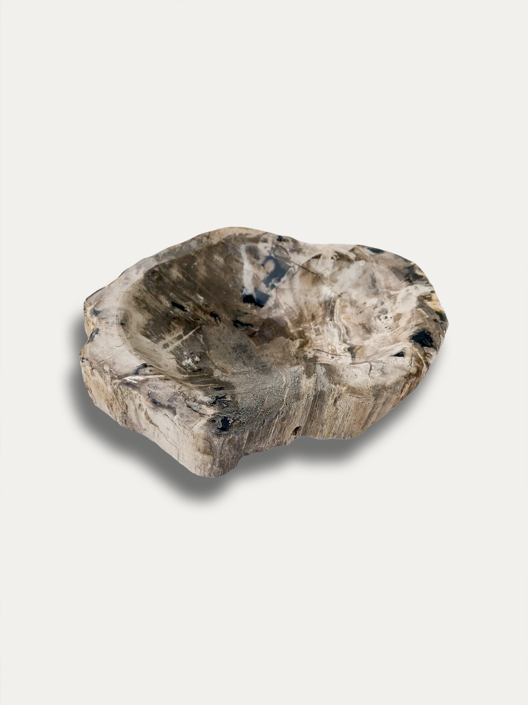 Petrified wood bowl