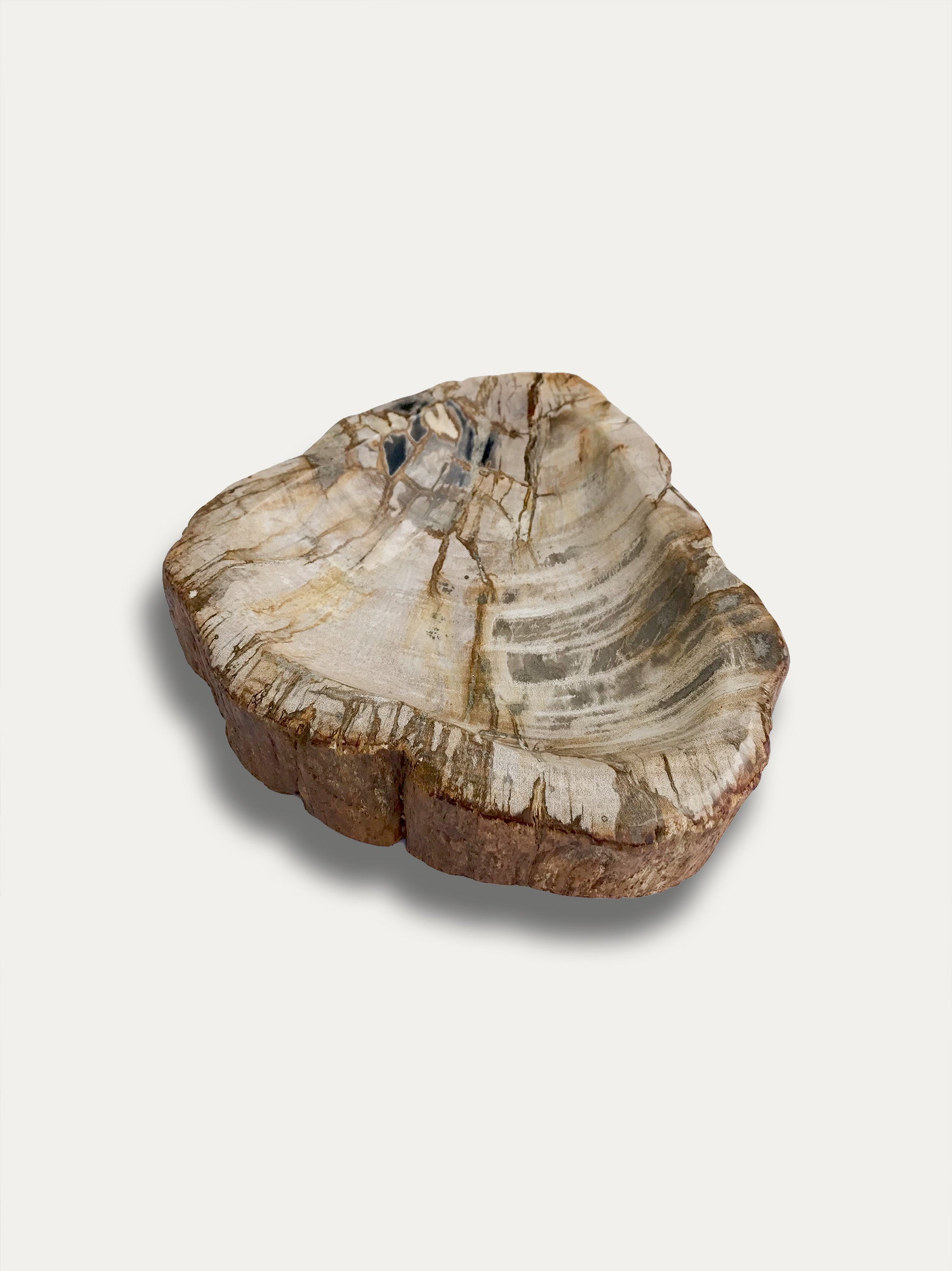 Petrified wood bowl