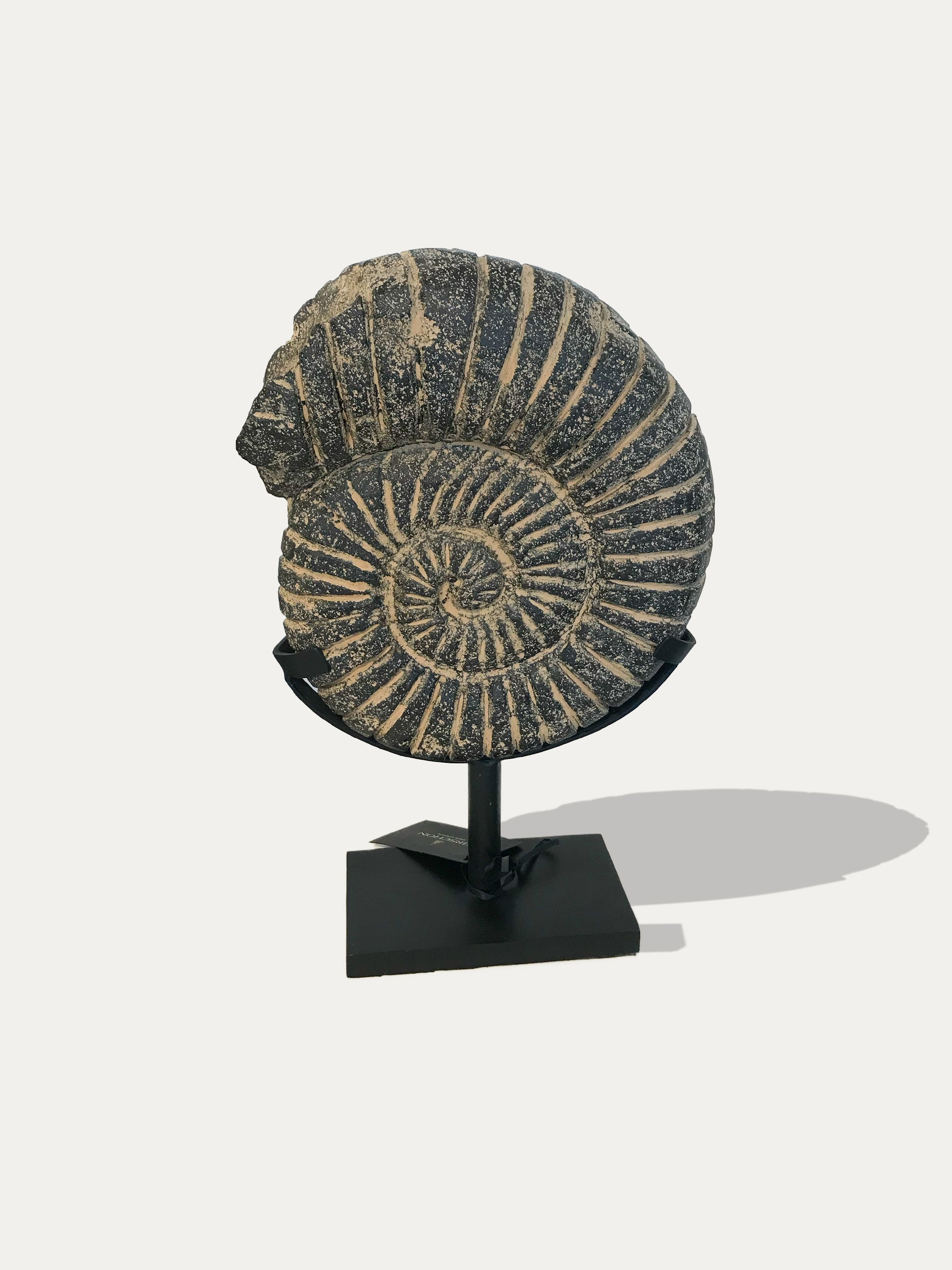 Black Ammonite stone statue from Java - Asian art from Kirschon