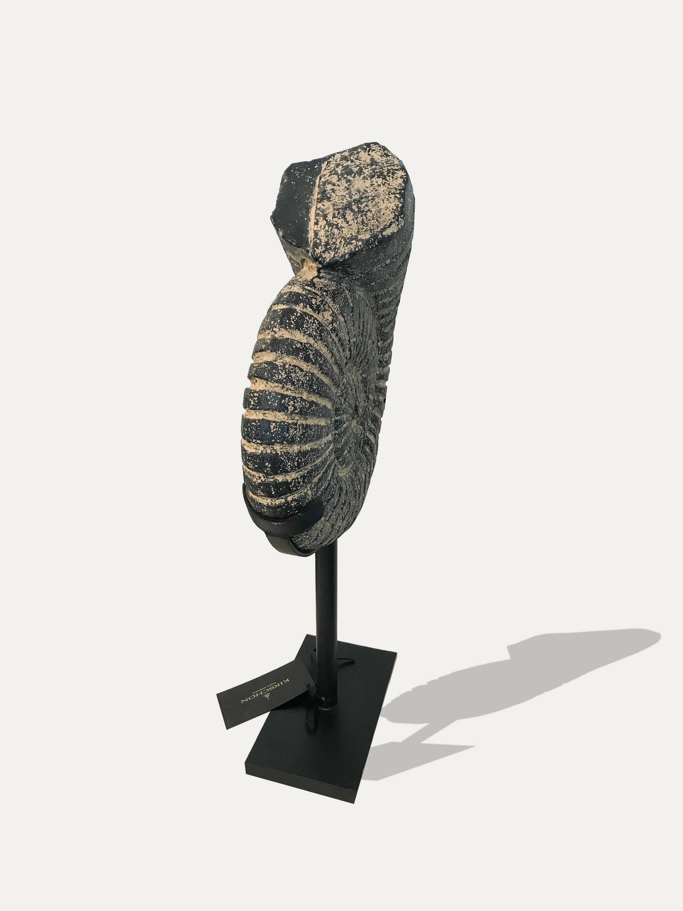 Statue en pierre d'ammonite de Java