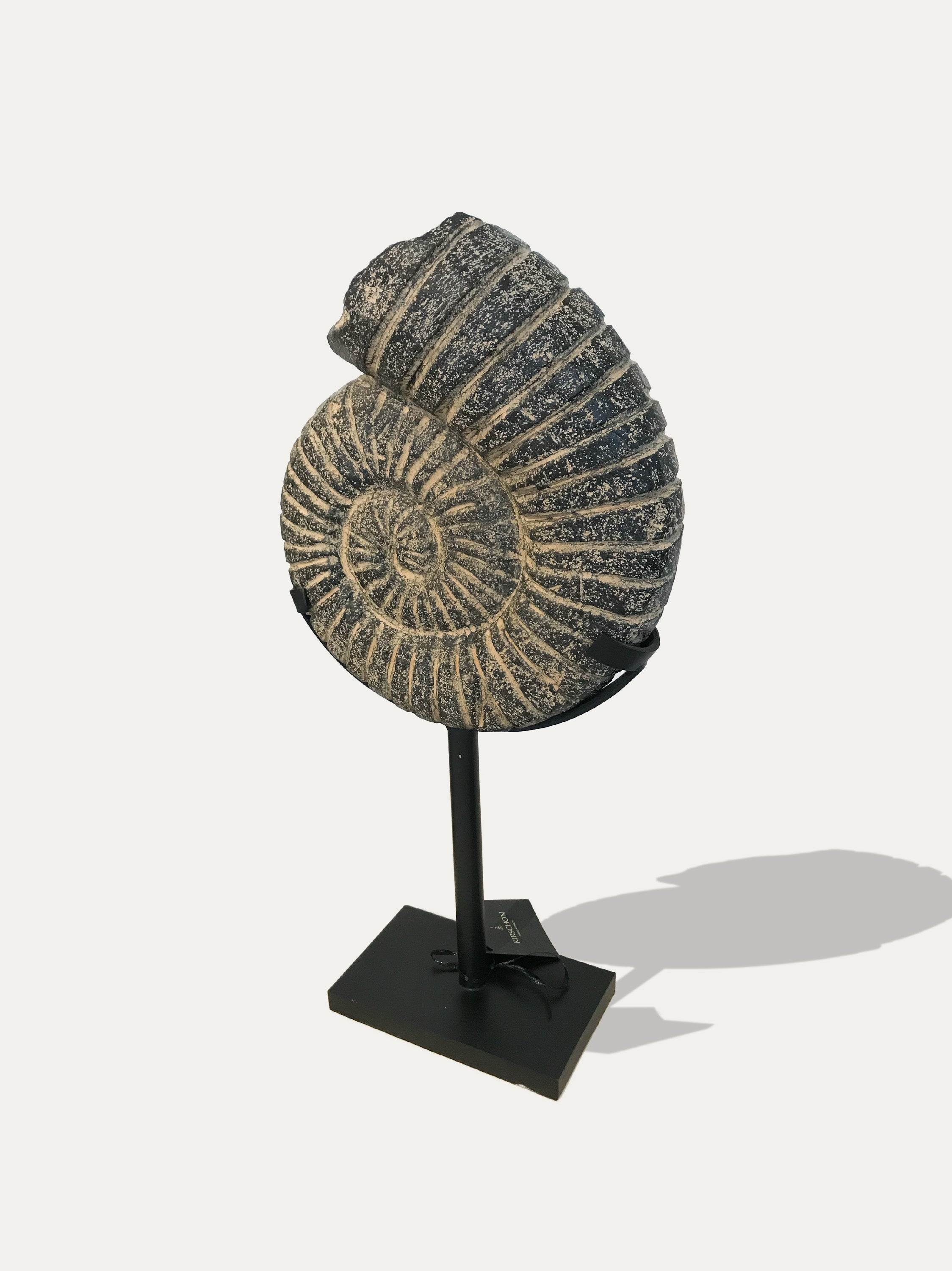 Black Ammonite stone statue from Java - Asian art from Kirschon