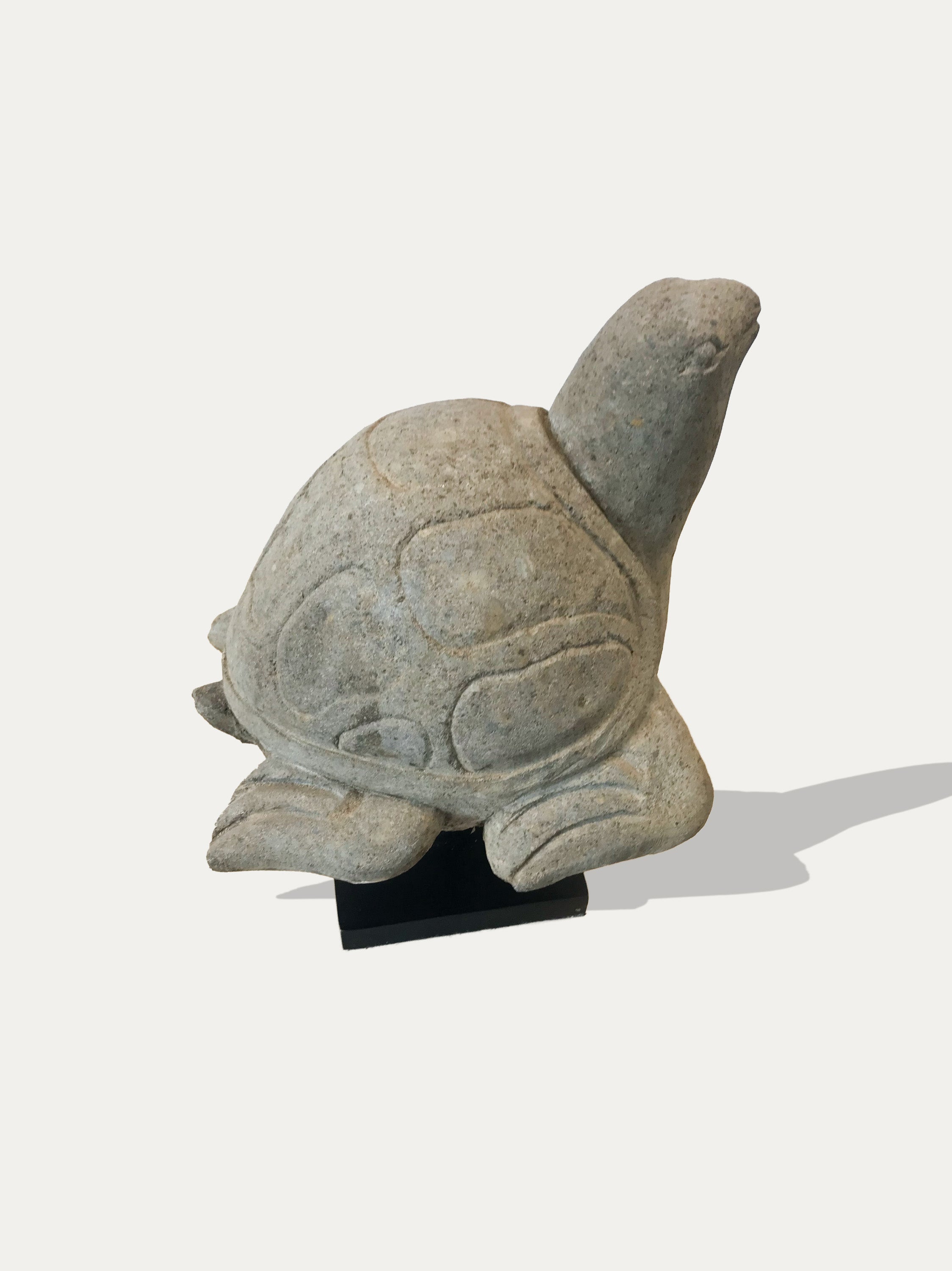 Große handgeschnitzte Schildkrötenstatue aus Java