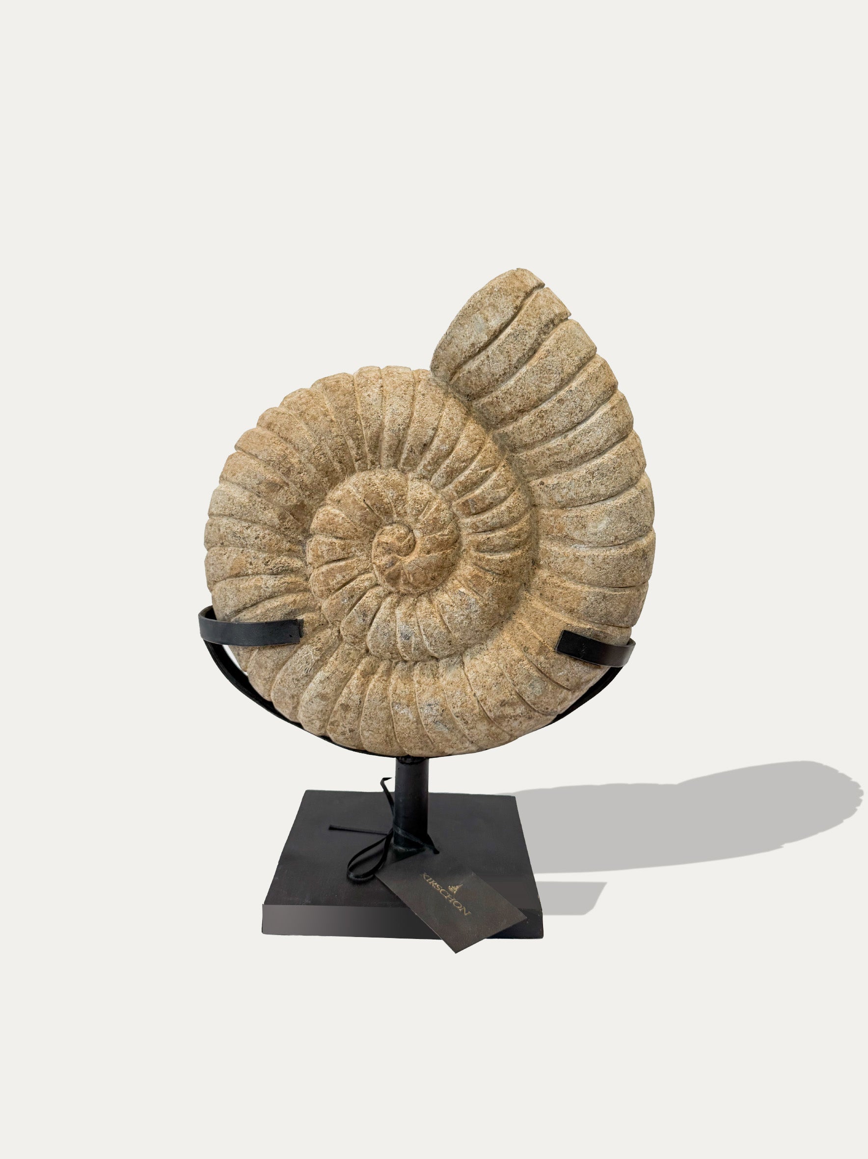 Large Ammonite Stone Statue from Java