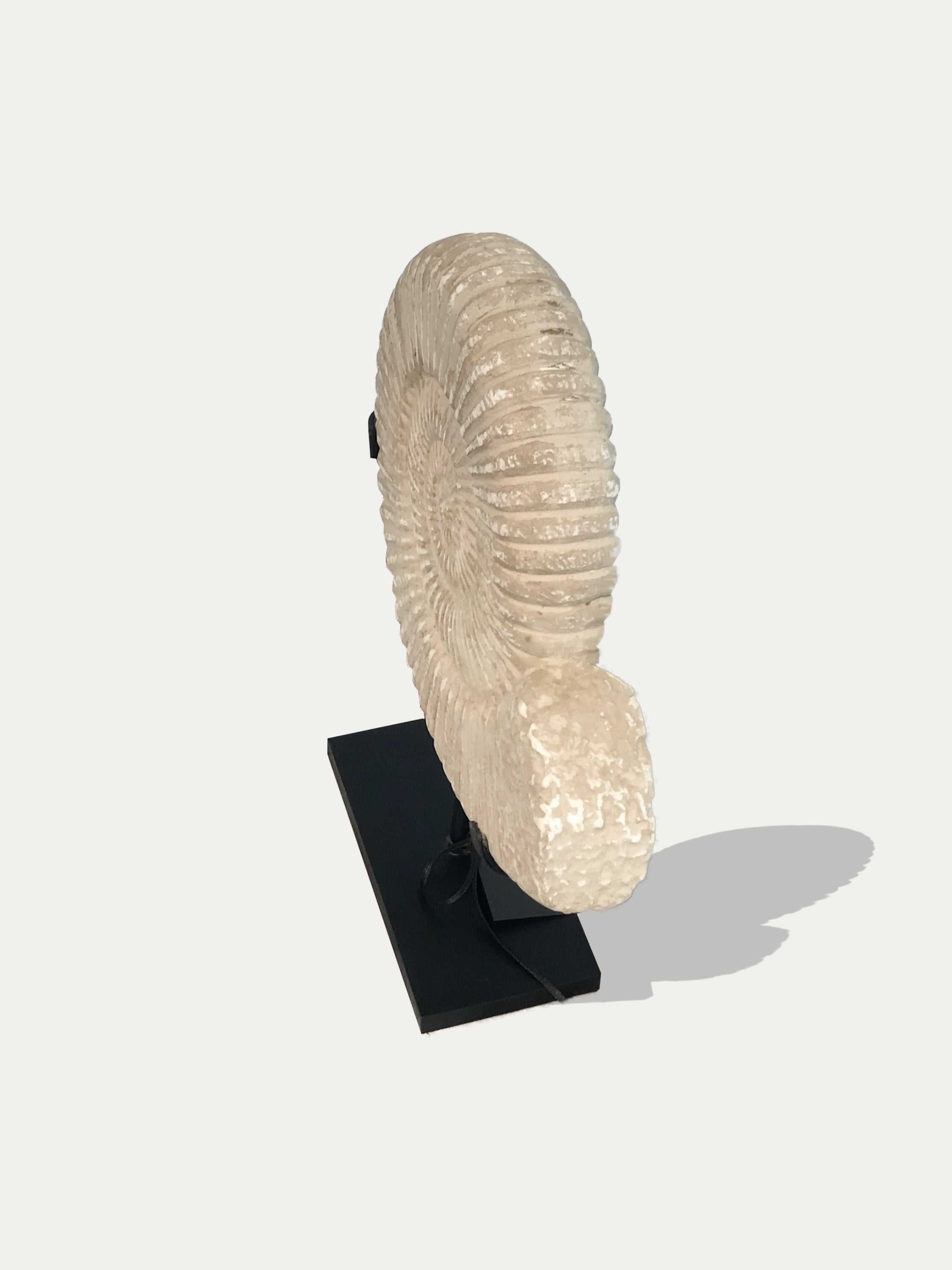 Ammonite stone statue. Asian art from Kirschon.com