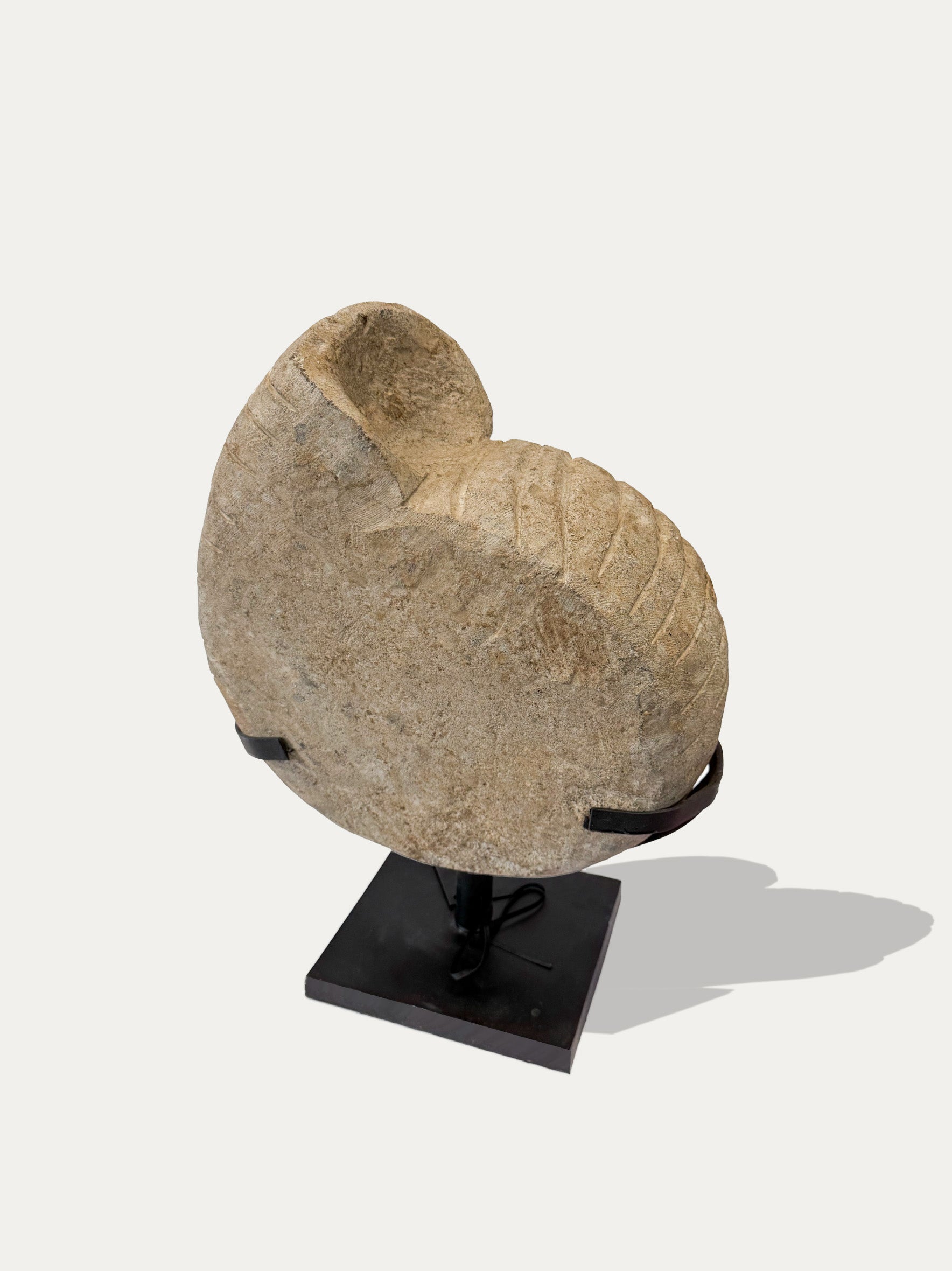 Large Ammonite Stone Statue from Java