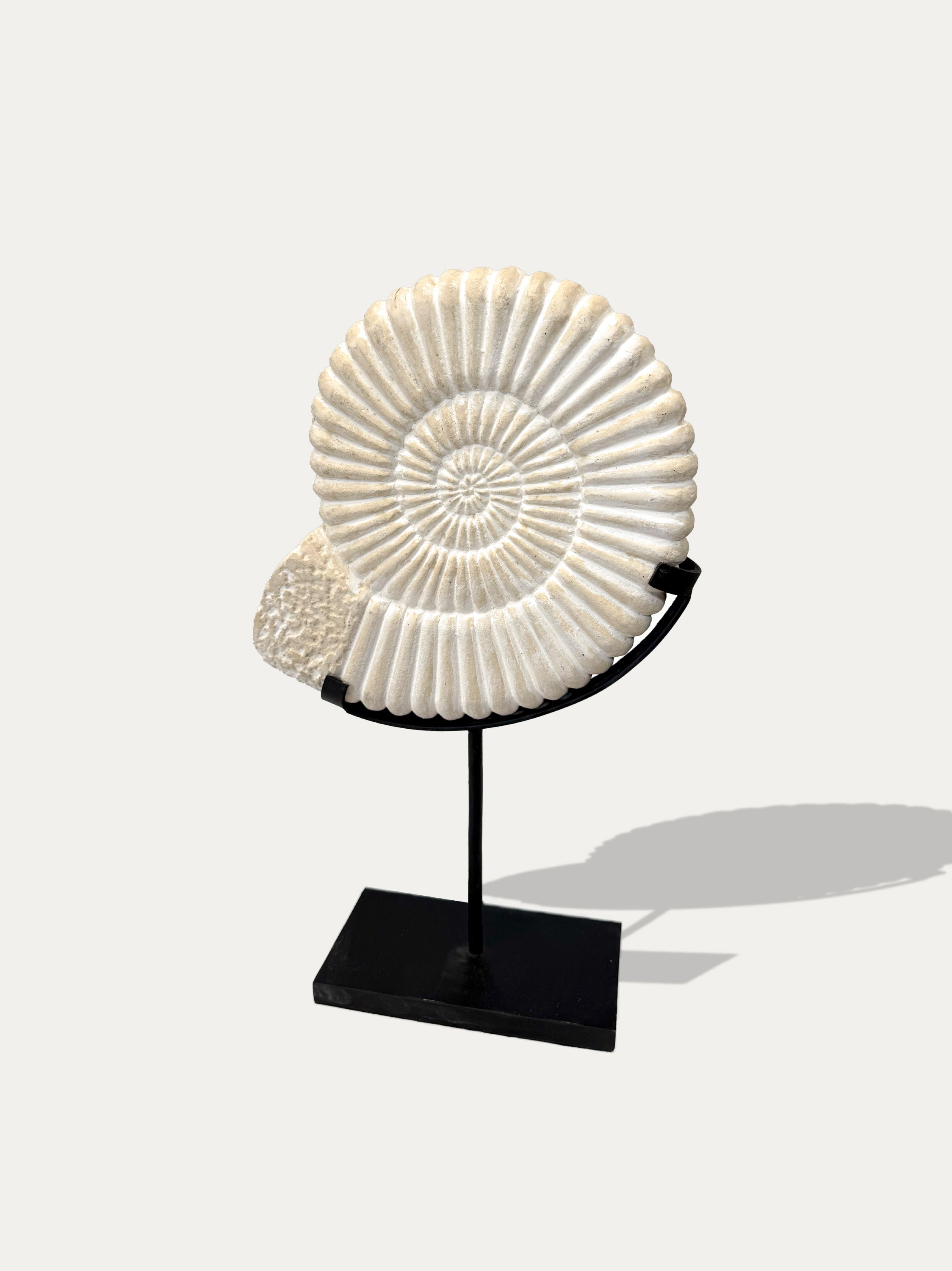 Conjunto de 2 estatuas de piedra de amonita de Java