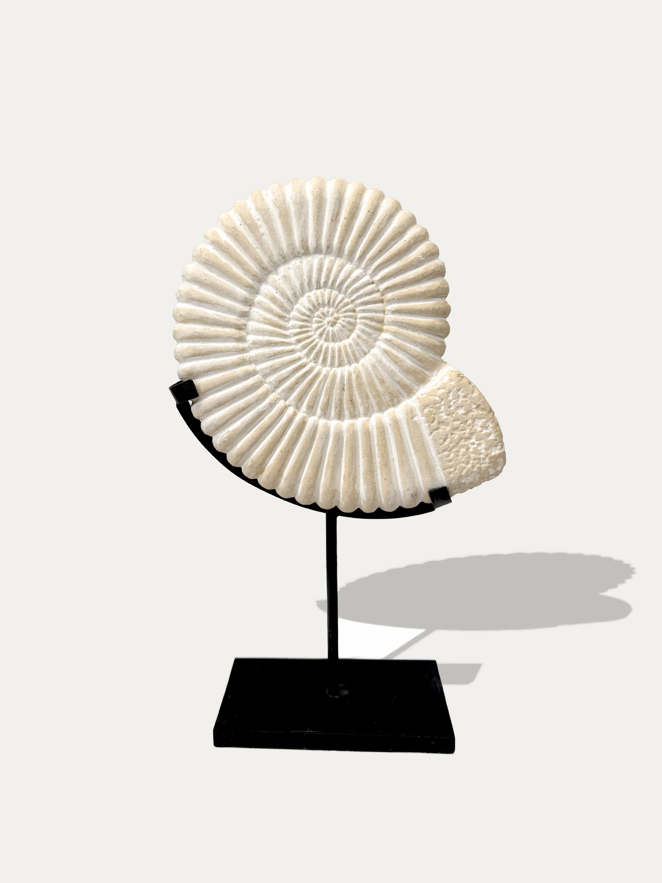 Excelencia y fortuna