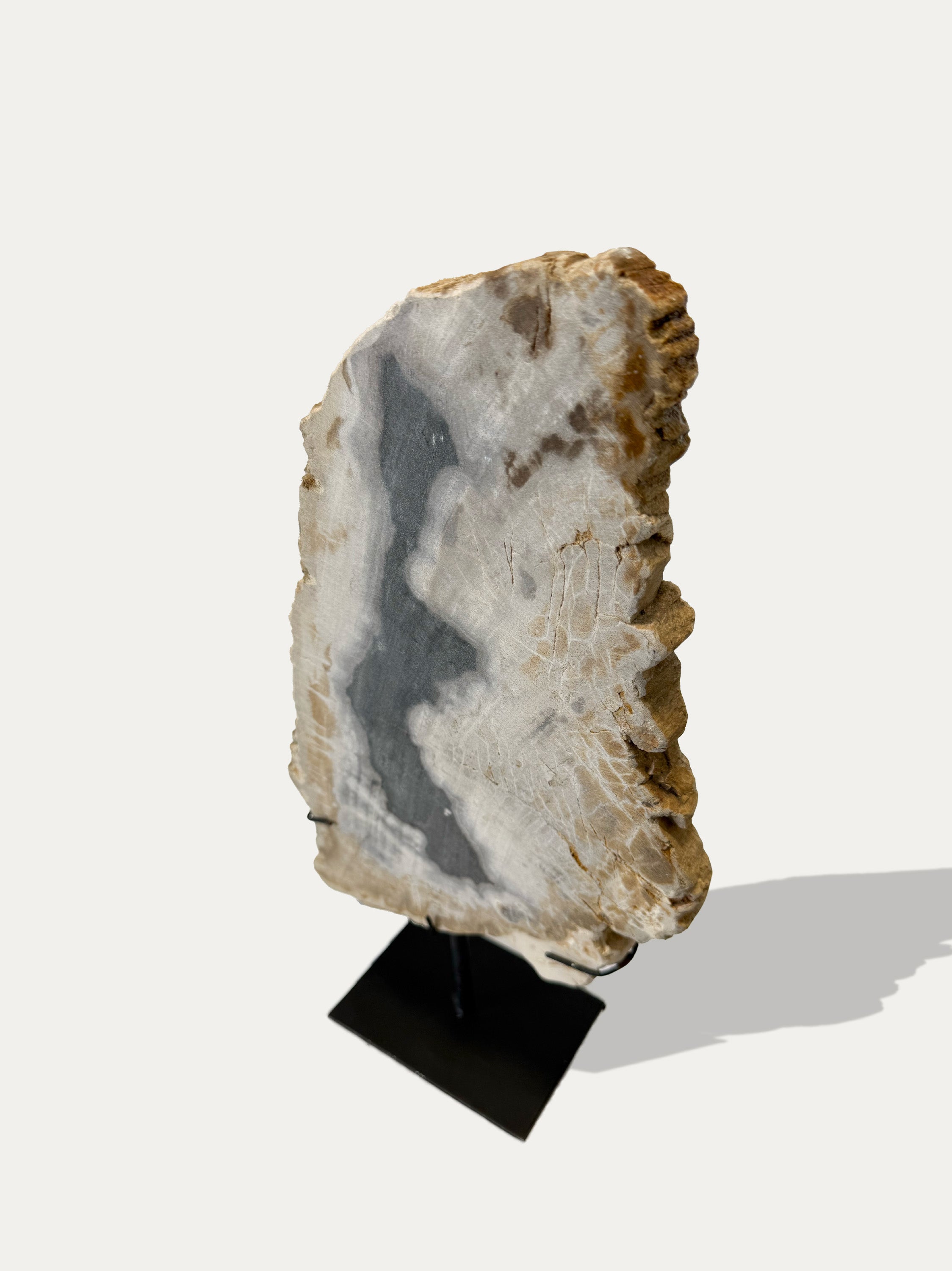 Petrified Wood Sculpture and Tray