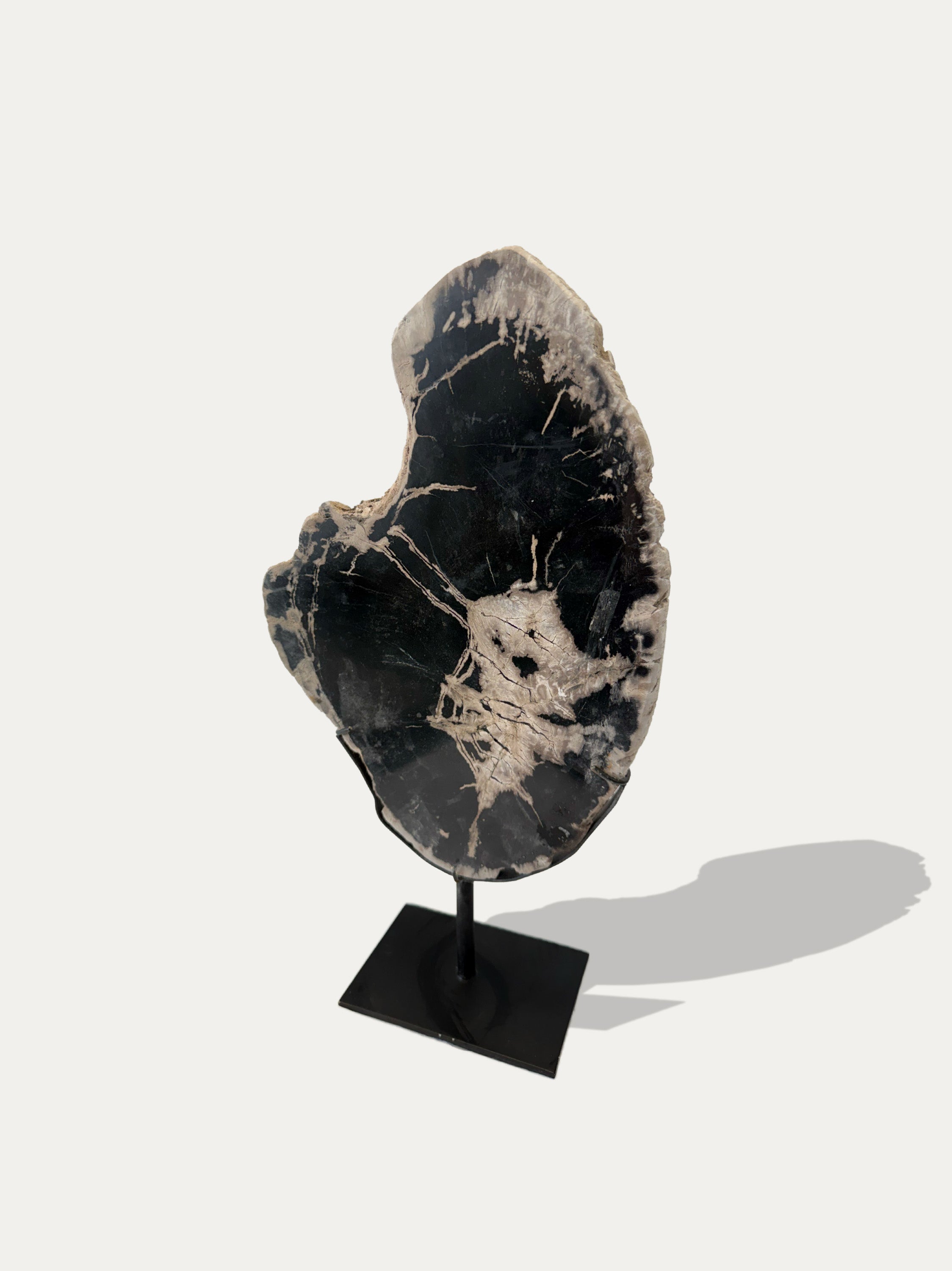 Scultura e Vassoio in Legno Pietrificato