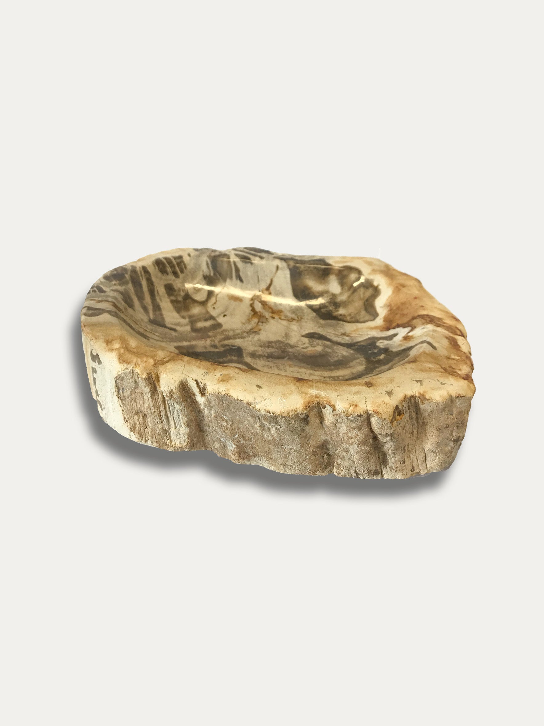 Petrified Wood Bowl