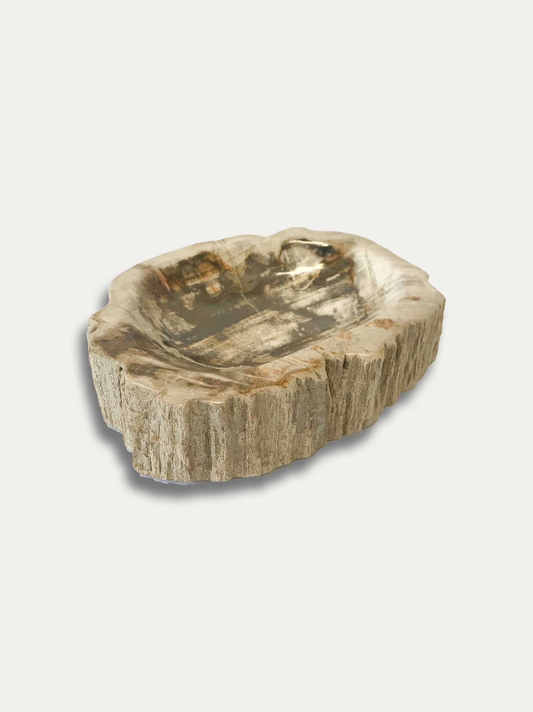 Petrified Wood Bowl