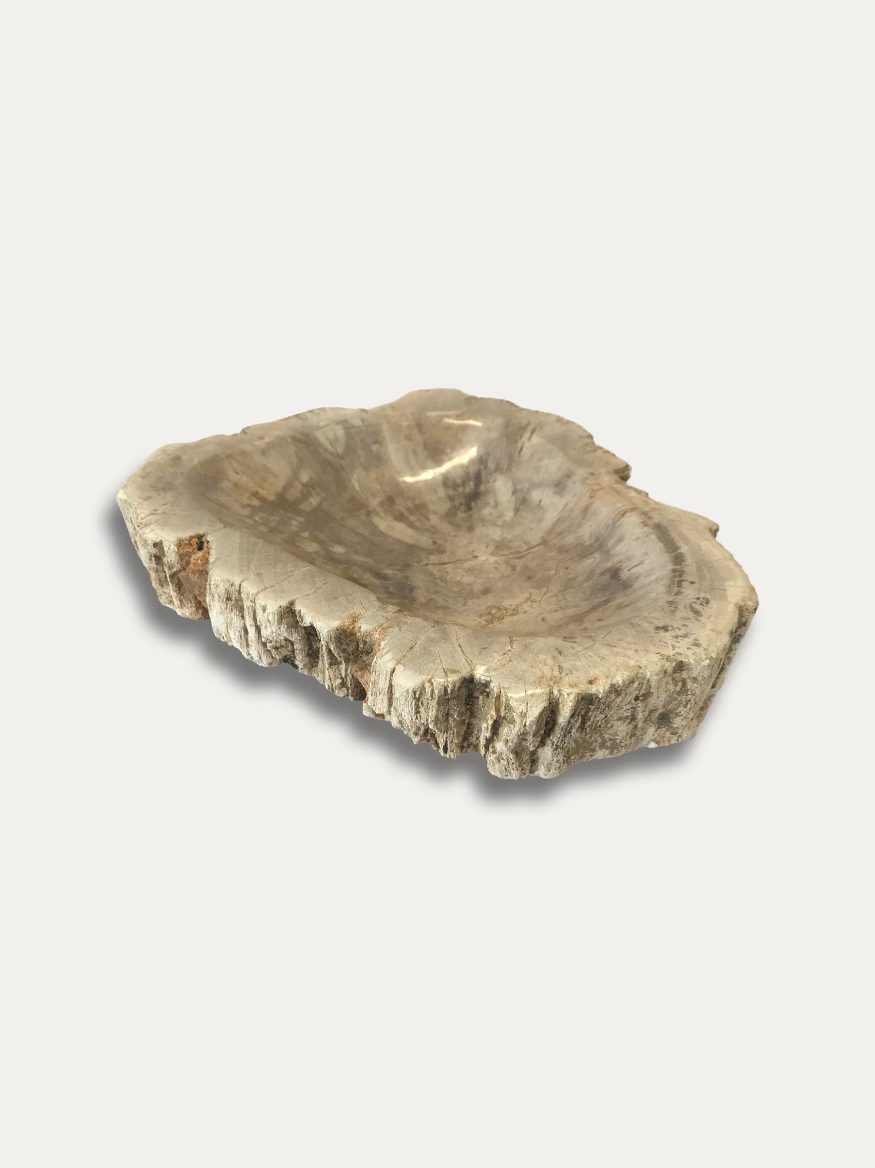 Petrified Wood Bowl