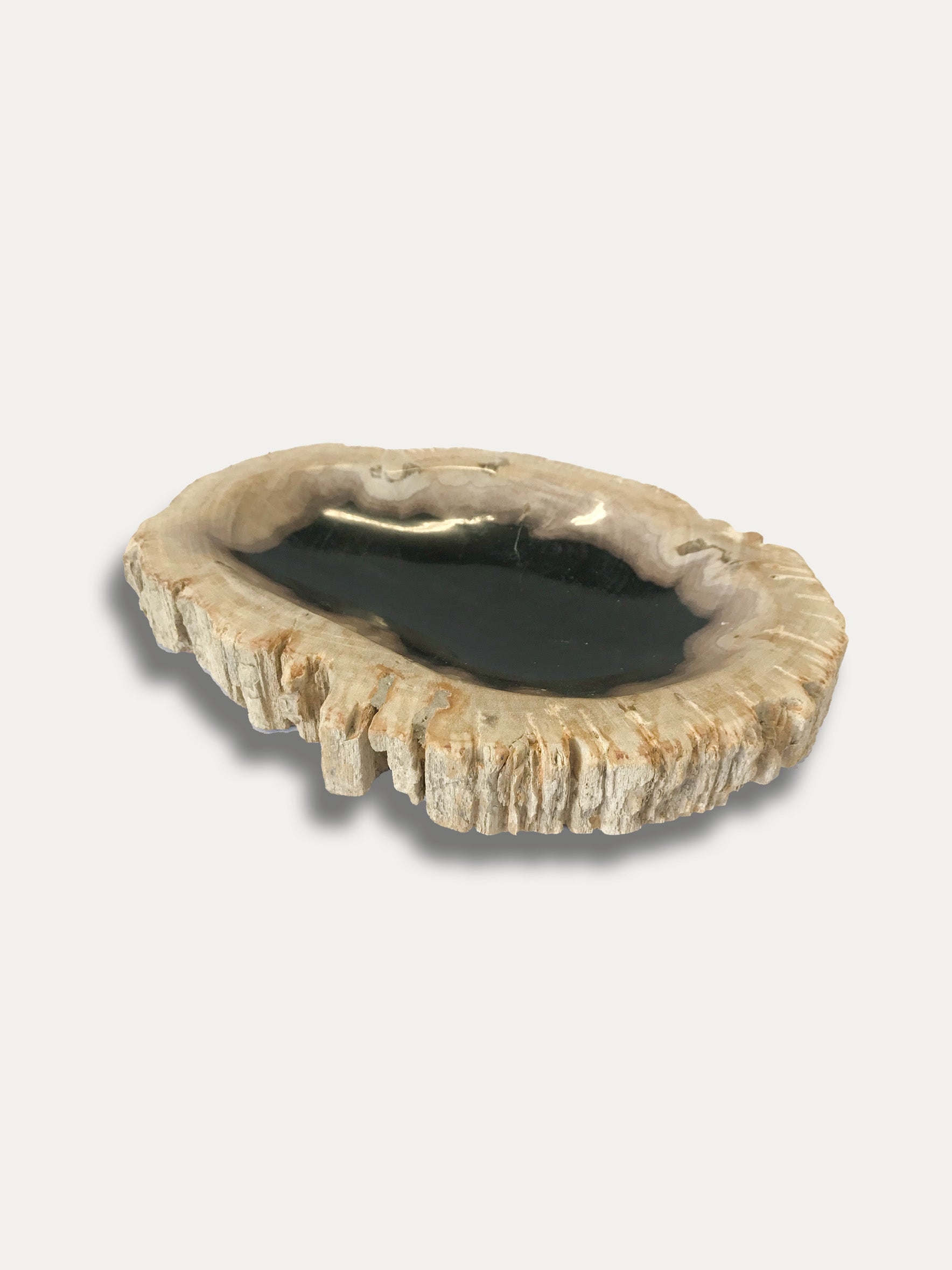 Petrified Wood Bowl