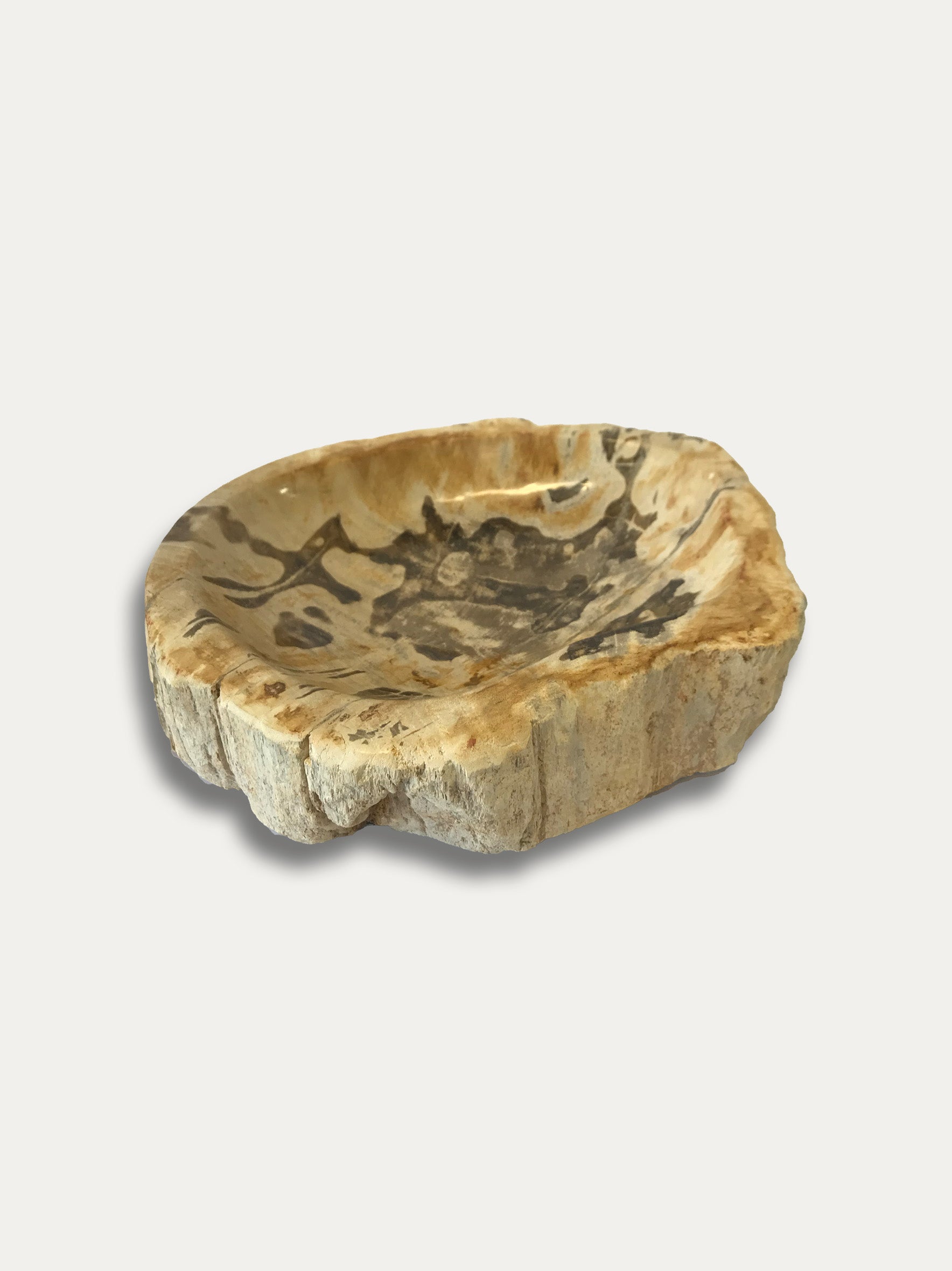 Petrified Wood Bowl