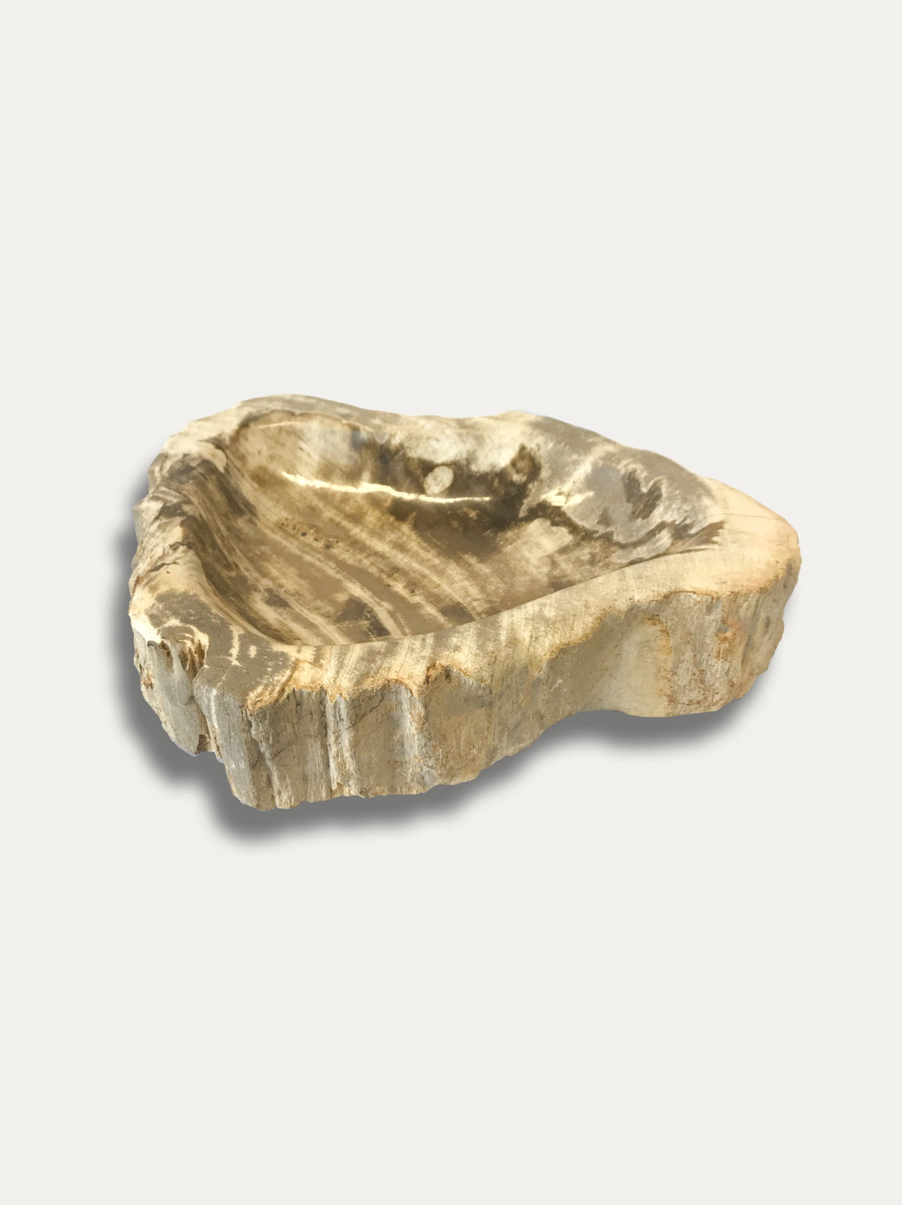 Petrified Wood Bowl