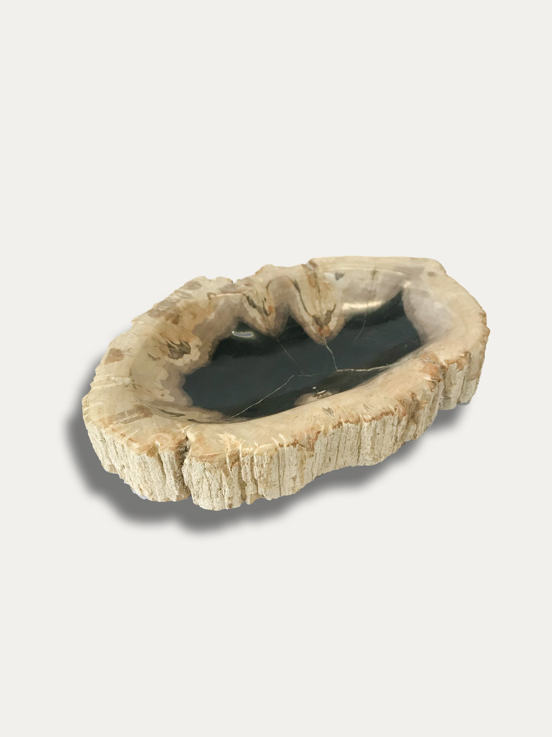 Petrified Wood Bowl