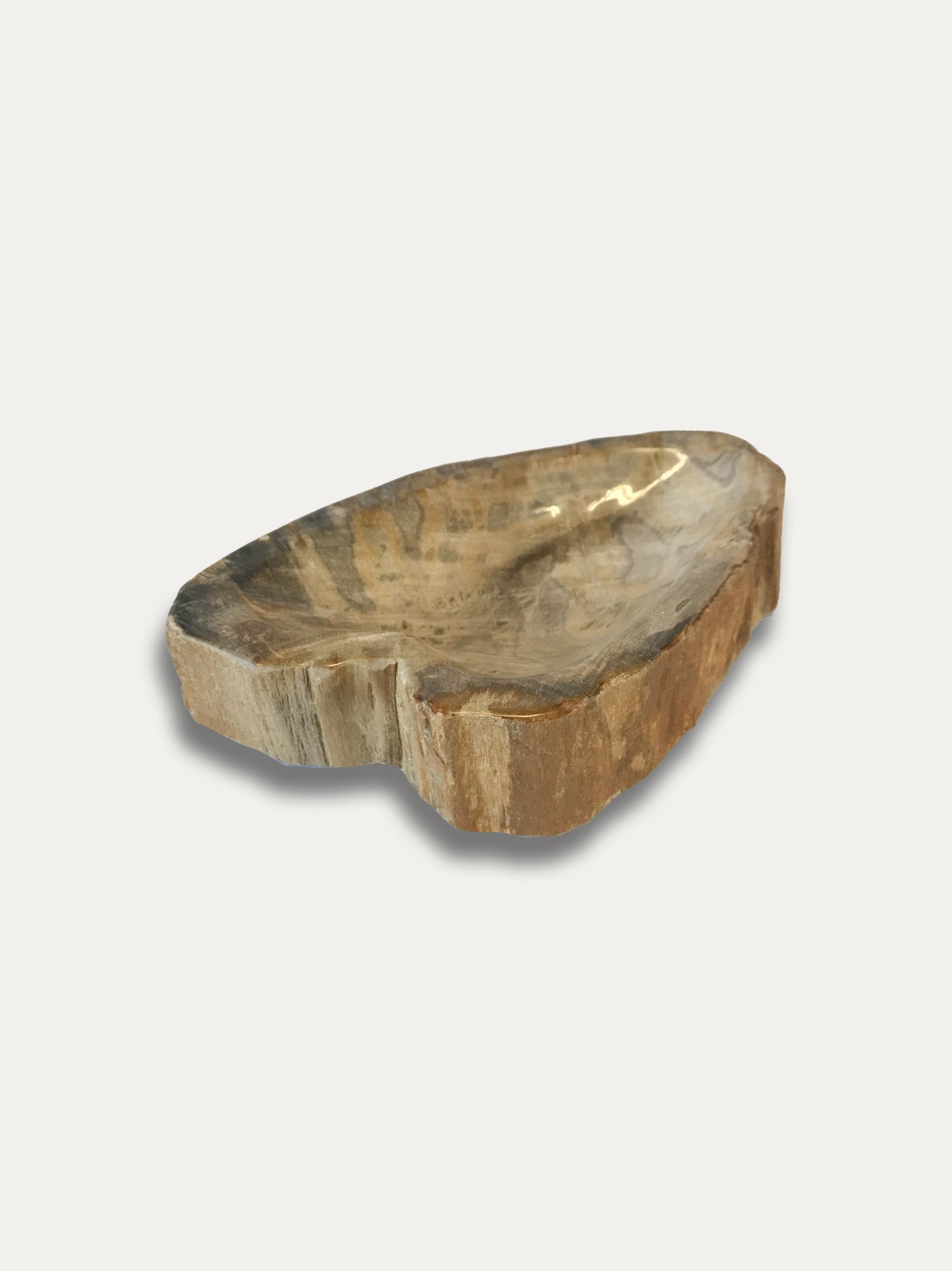 Petrified wood bowl