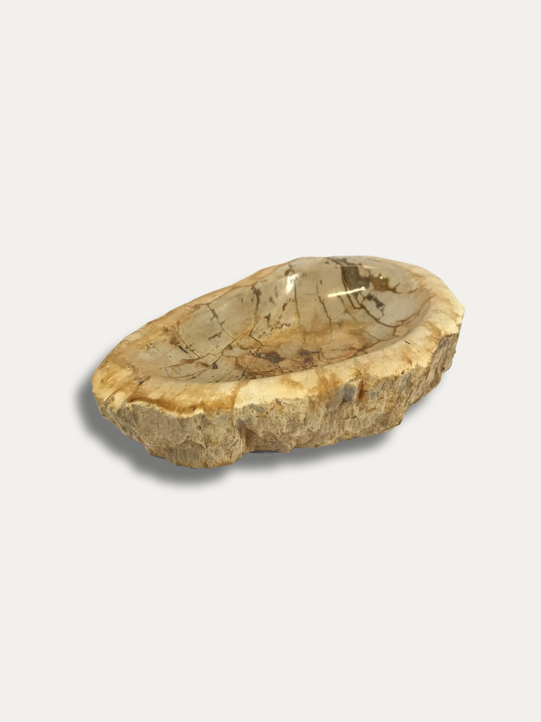 Petrified wood bowl